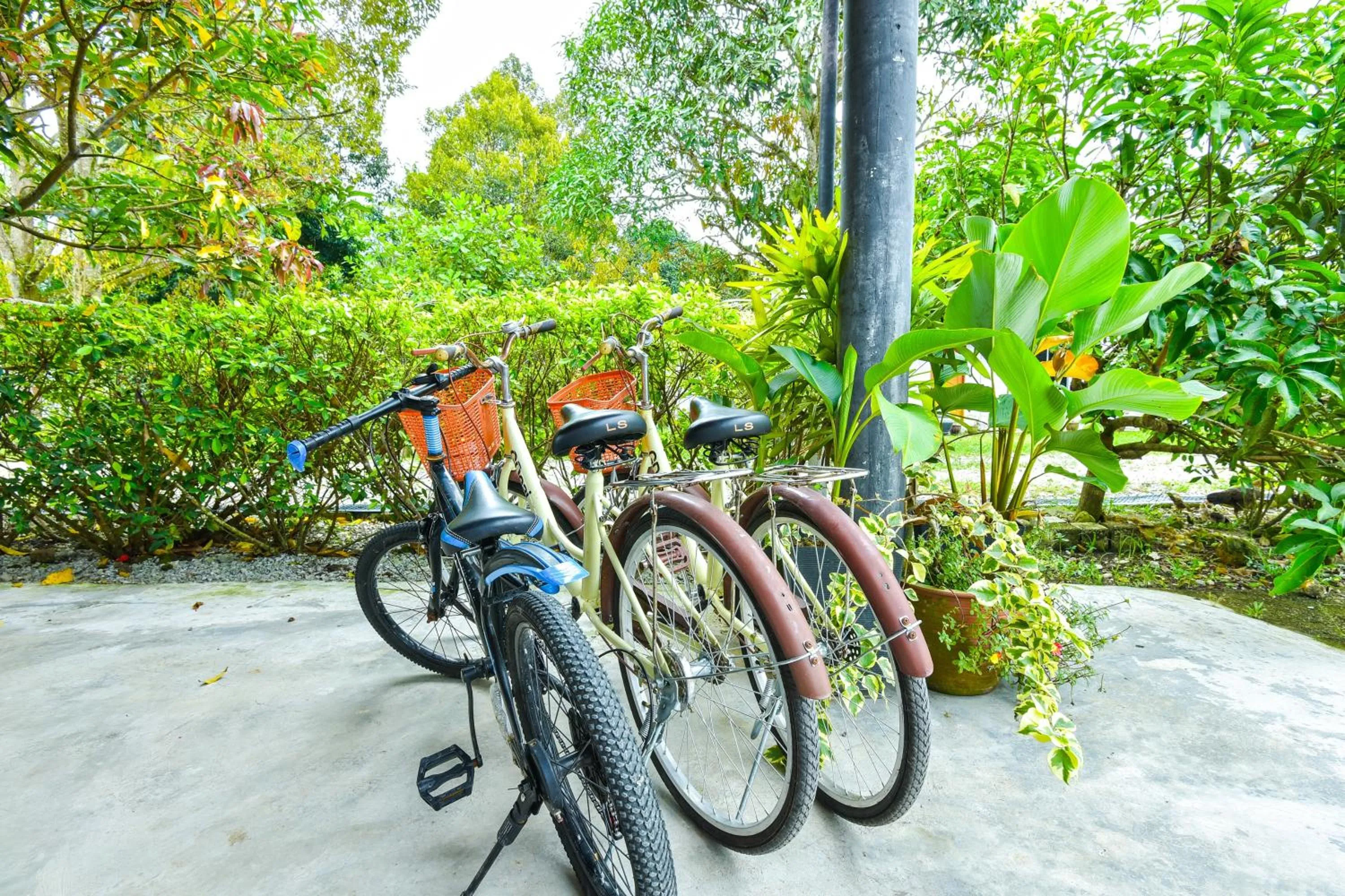 Other in Hotel O Asiacamp Chalet Tanjung Karang