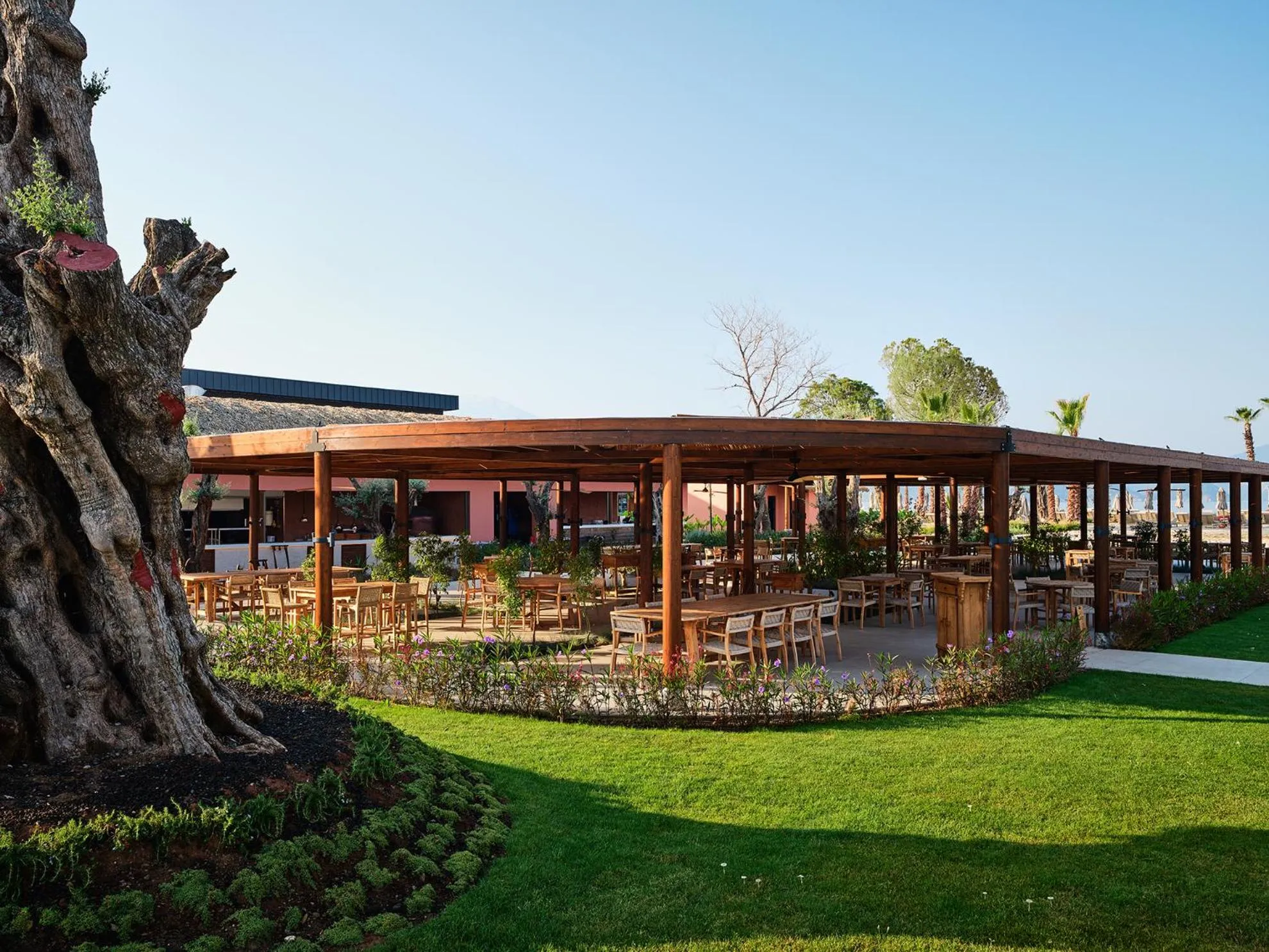 Restaurant/places to eat in XO CAPE ARNNA Fethiye