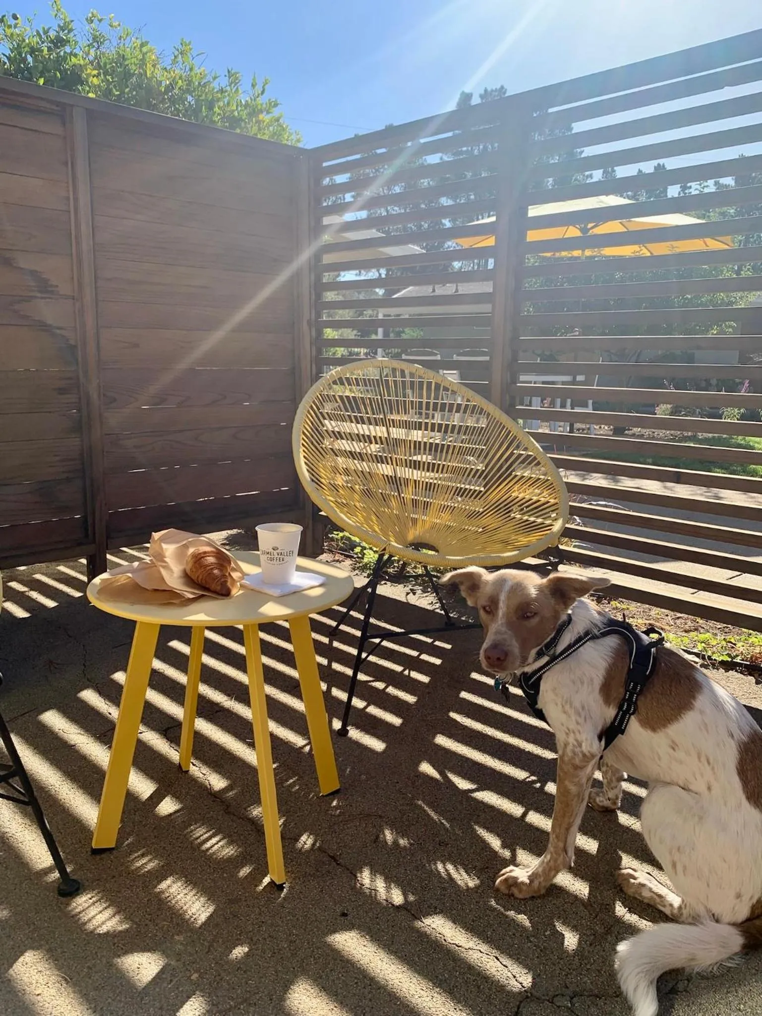Patio in Contenta Inn