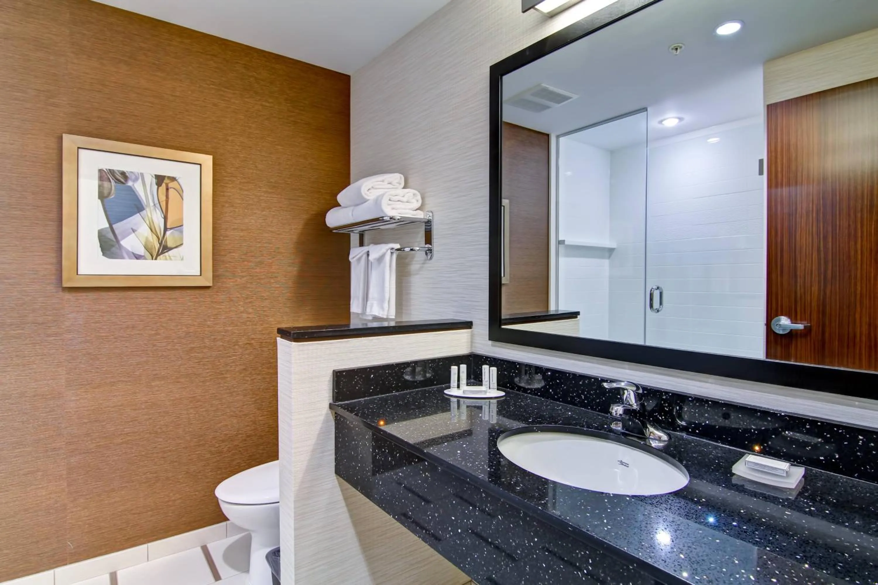 Bathroom in Fairfield Inn & Suites by Marriott Kamloops