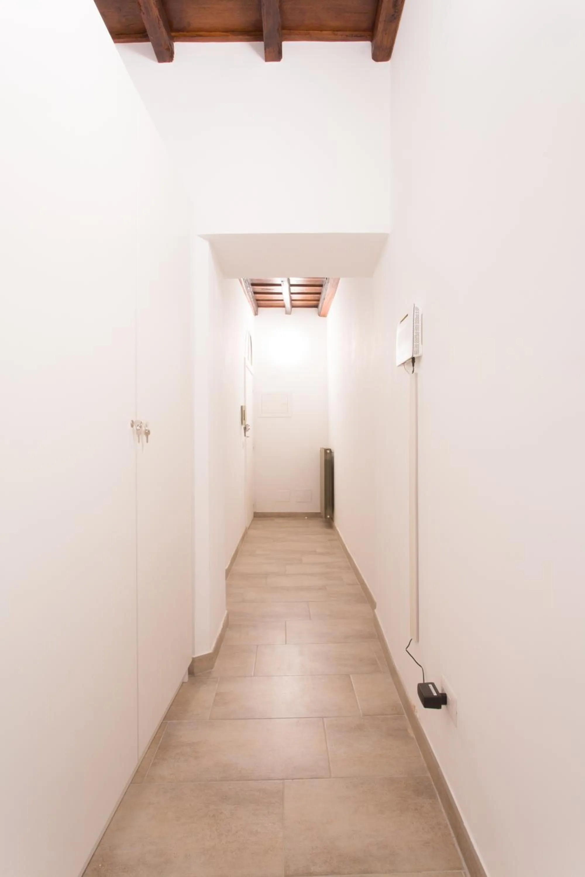 Area and facilities in Domenichino Luxury Home