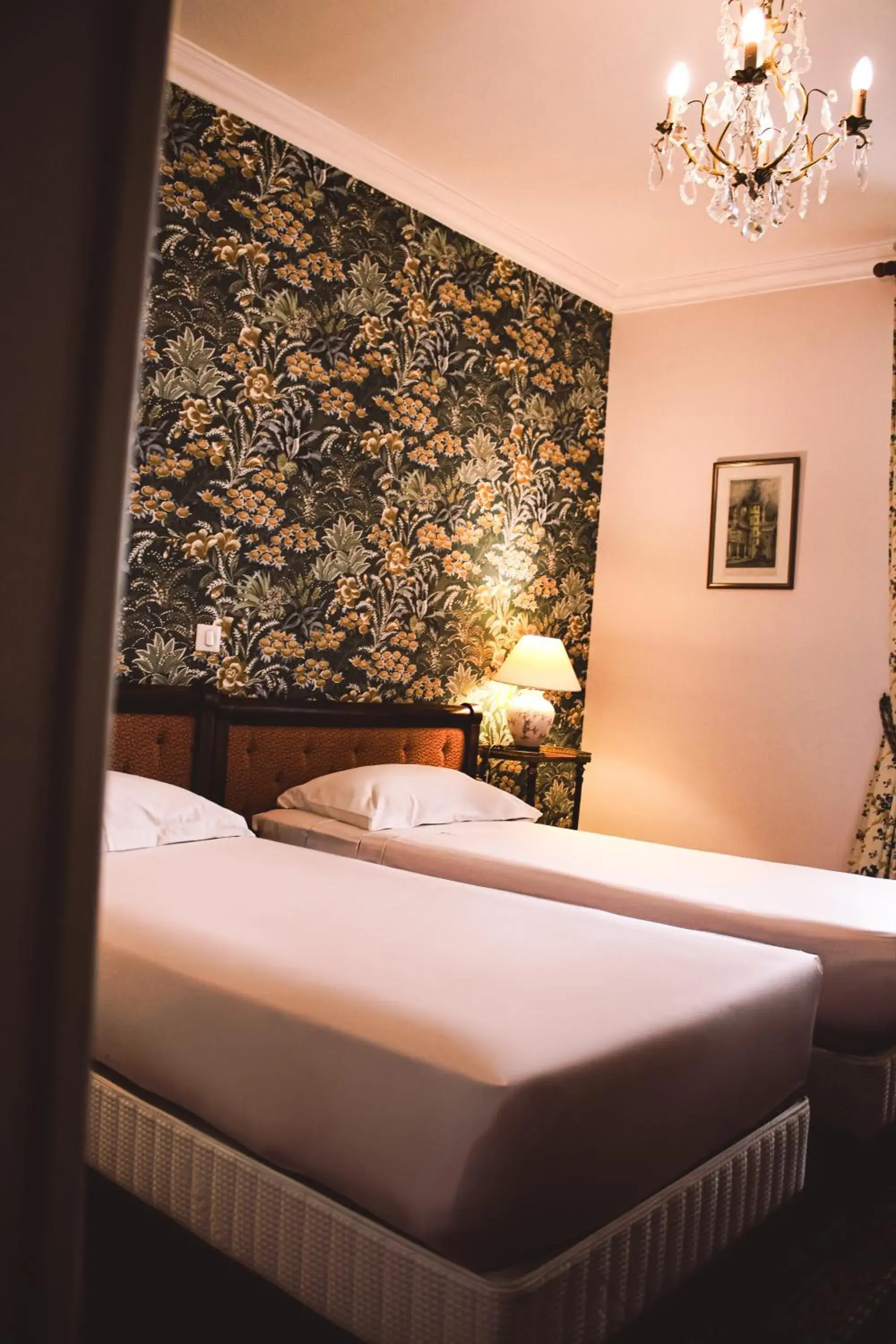 Comfort Twin Room in Hotel La Villa Fleurie Comfort Twin Room in Hotel La Villa Fleurie