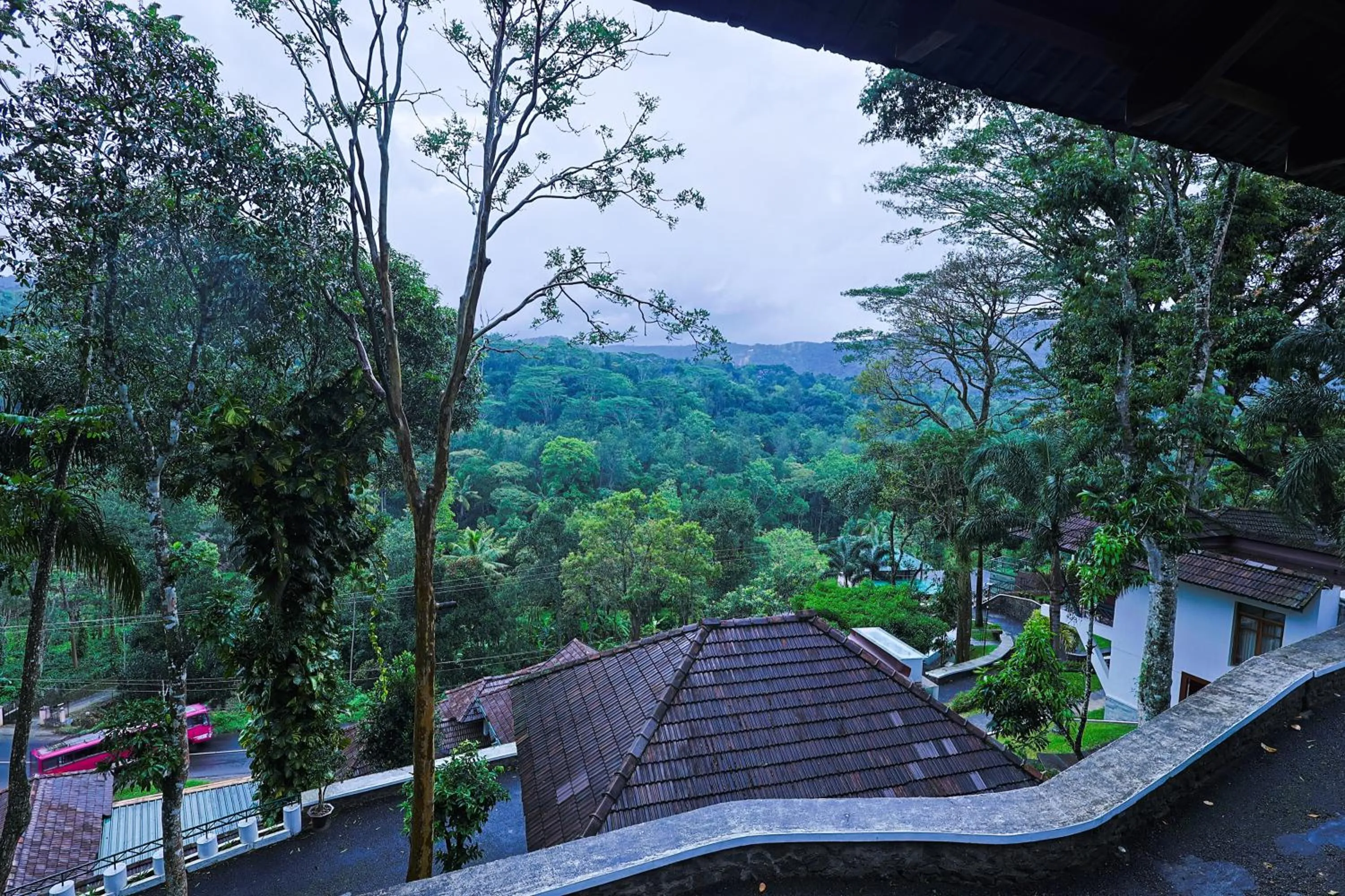 View (from property/room) in Forest Canopy Thekkady