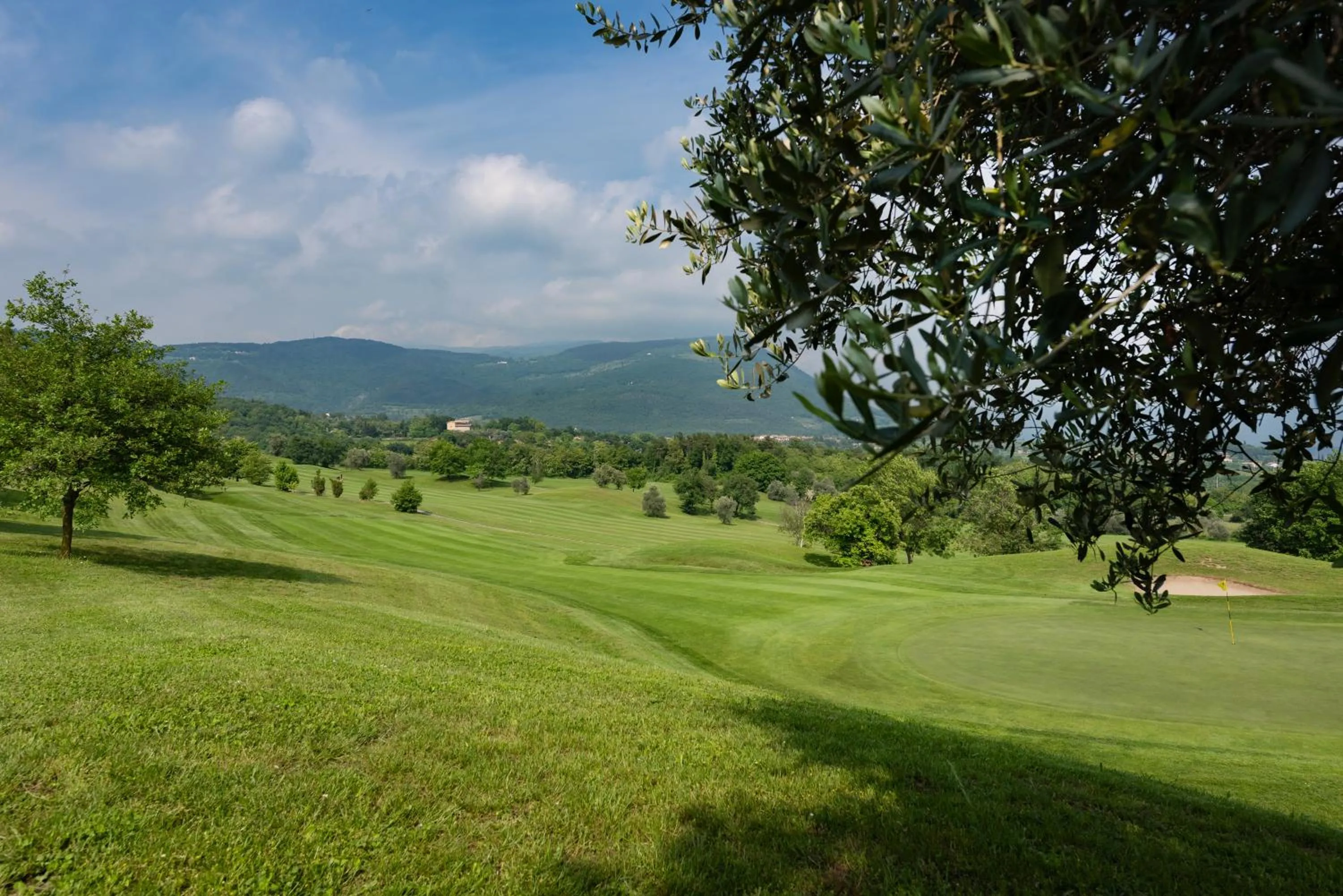 Natural landscape in Golf Cà Degli Ulivi