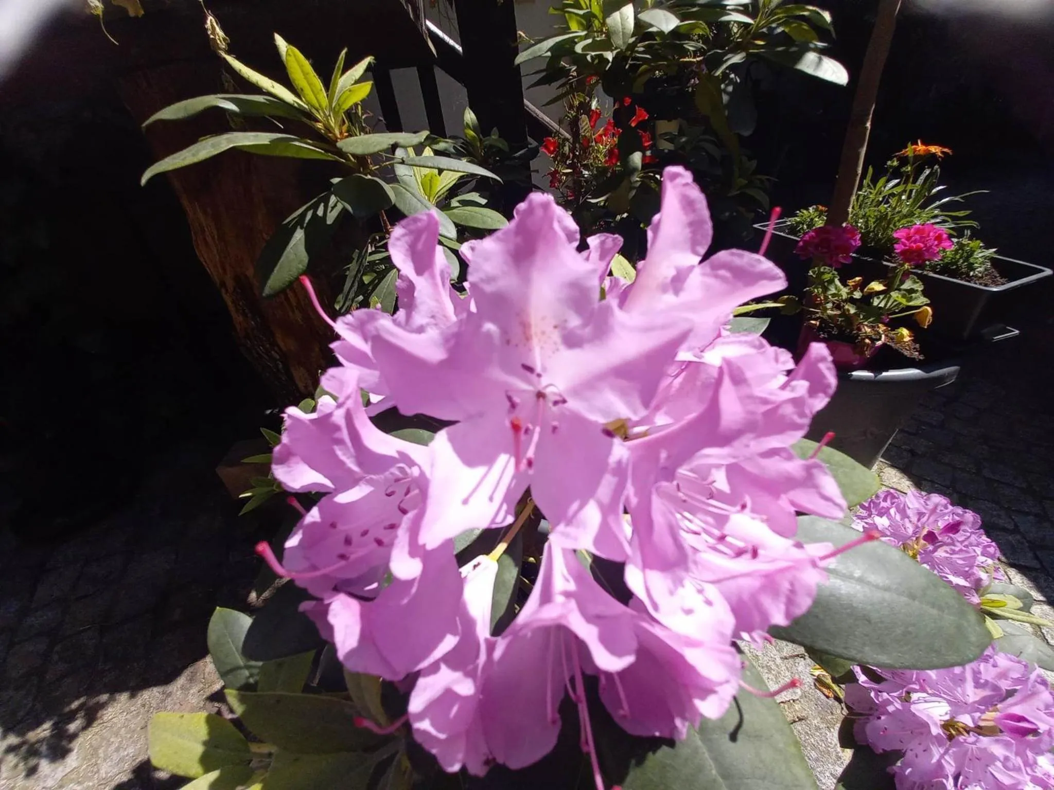 Gästehaus auf der Kunstmeile