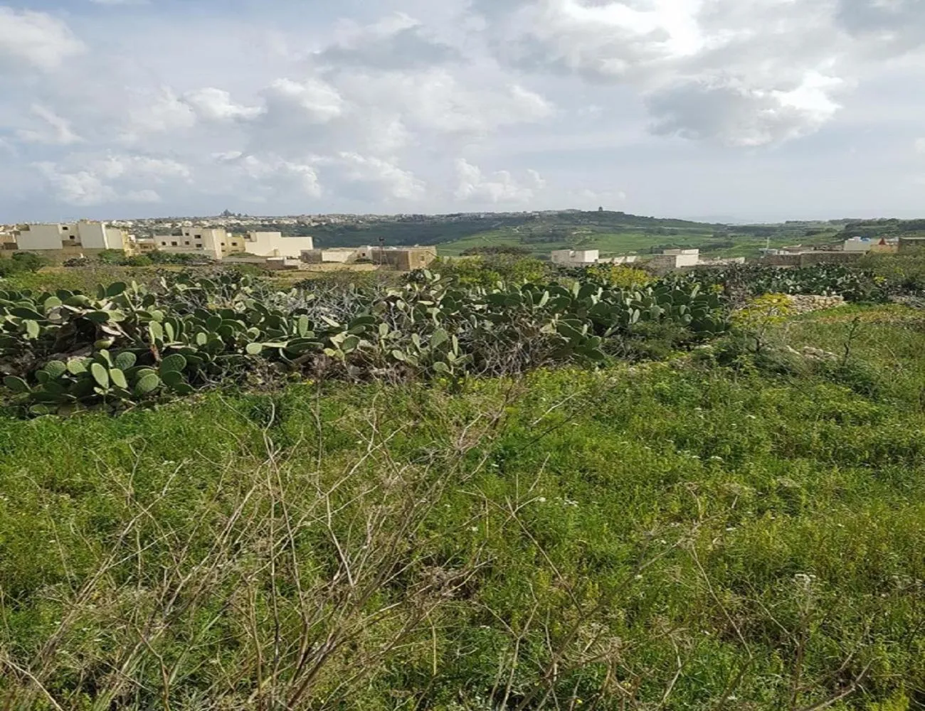 Natural landscape in Ta' Karkar Villa Bed and Breakfast
