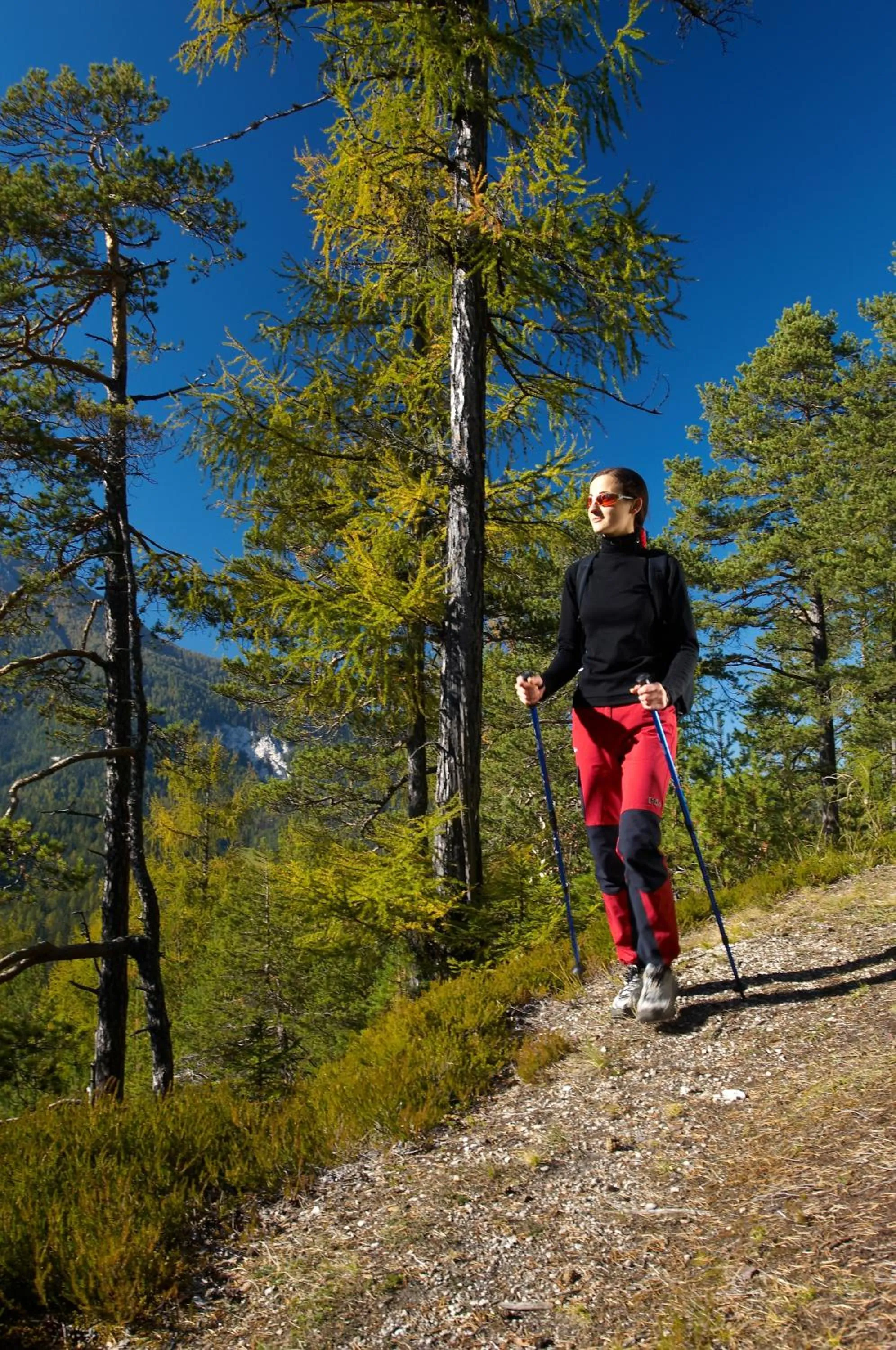 View (from property/room) in Apartmaji Sitar