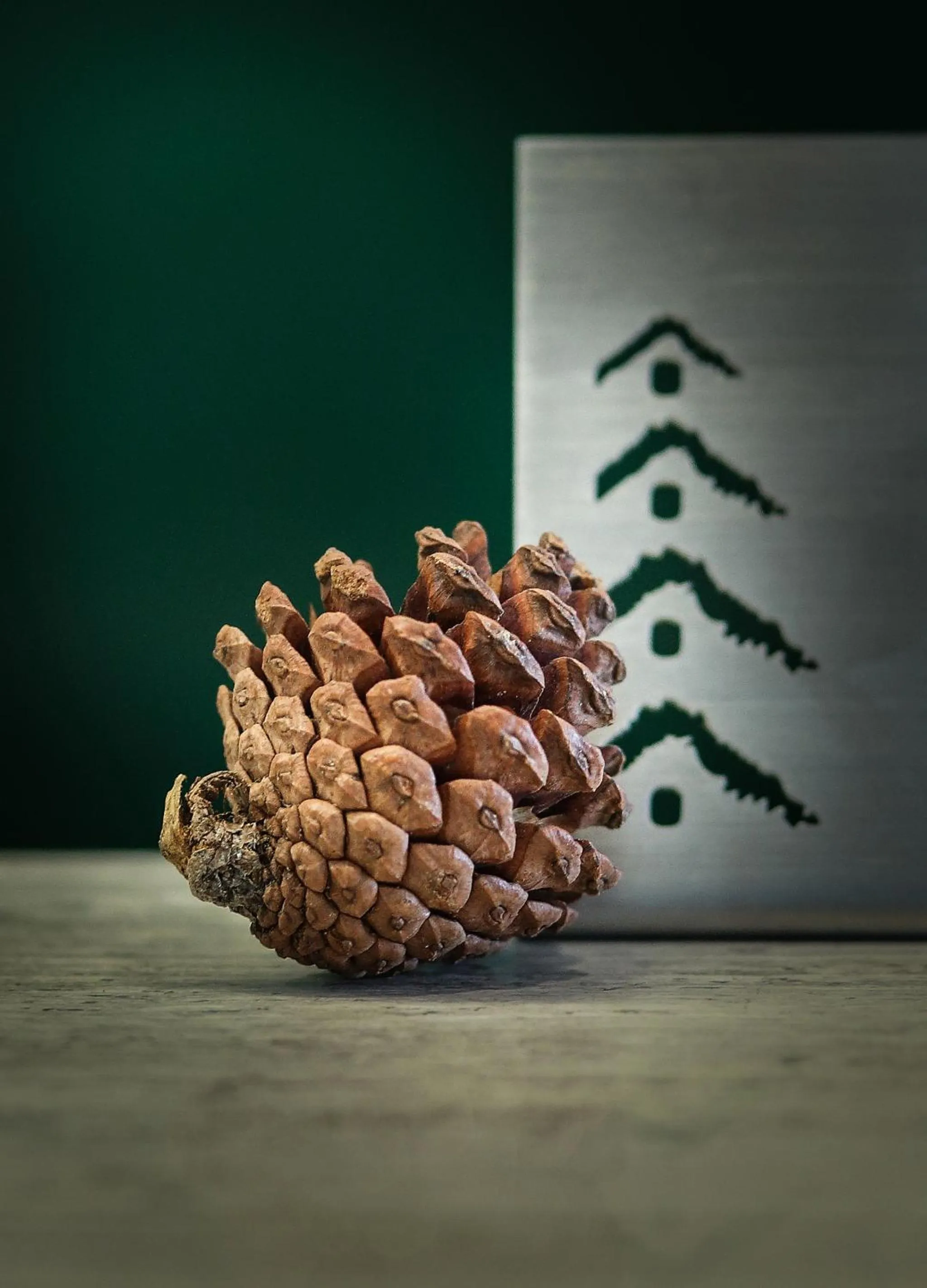 Lobby or reception in The Pino Hotel Pakchong