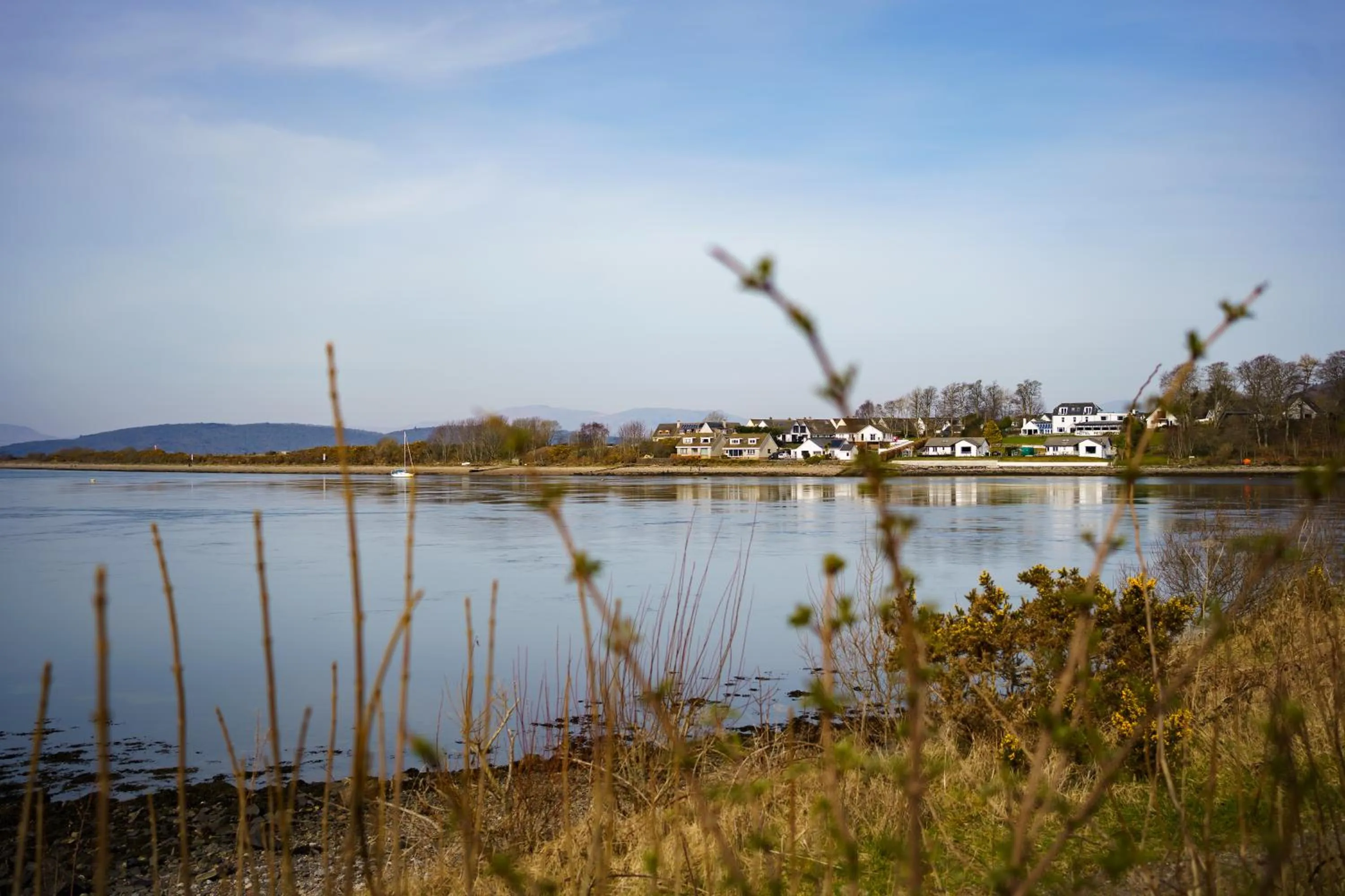 Natural landscape in Oyster Inn Connel