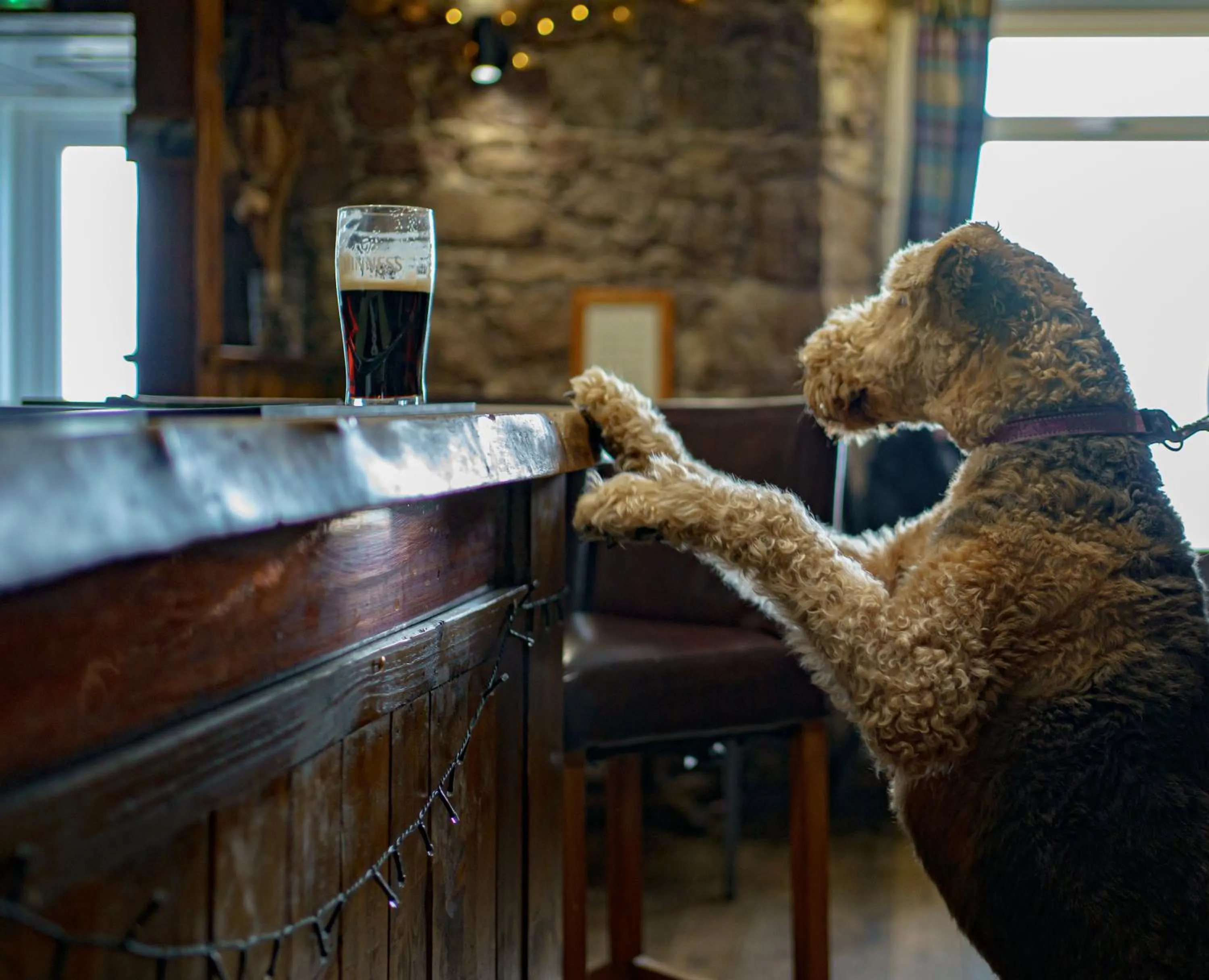 Lounge or bar in Oyster Inn Connel