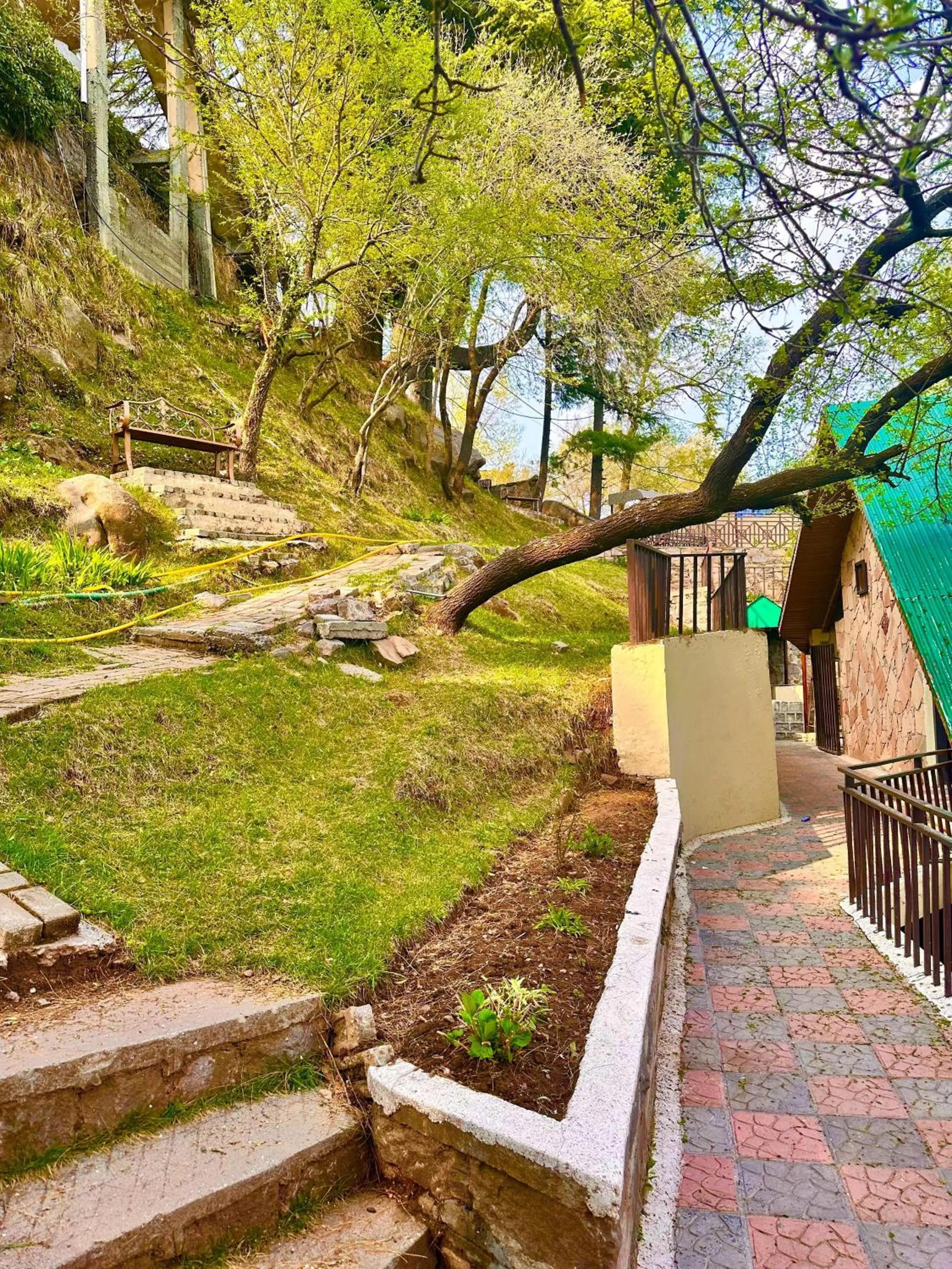 Garden in Pasha Nova