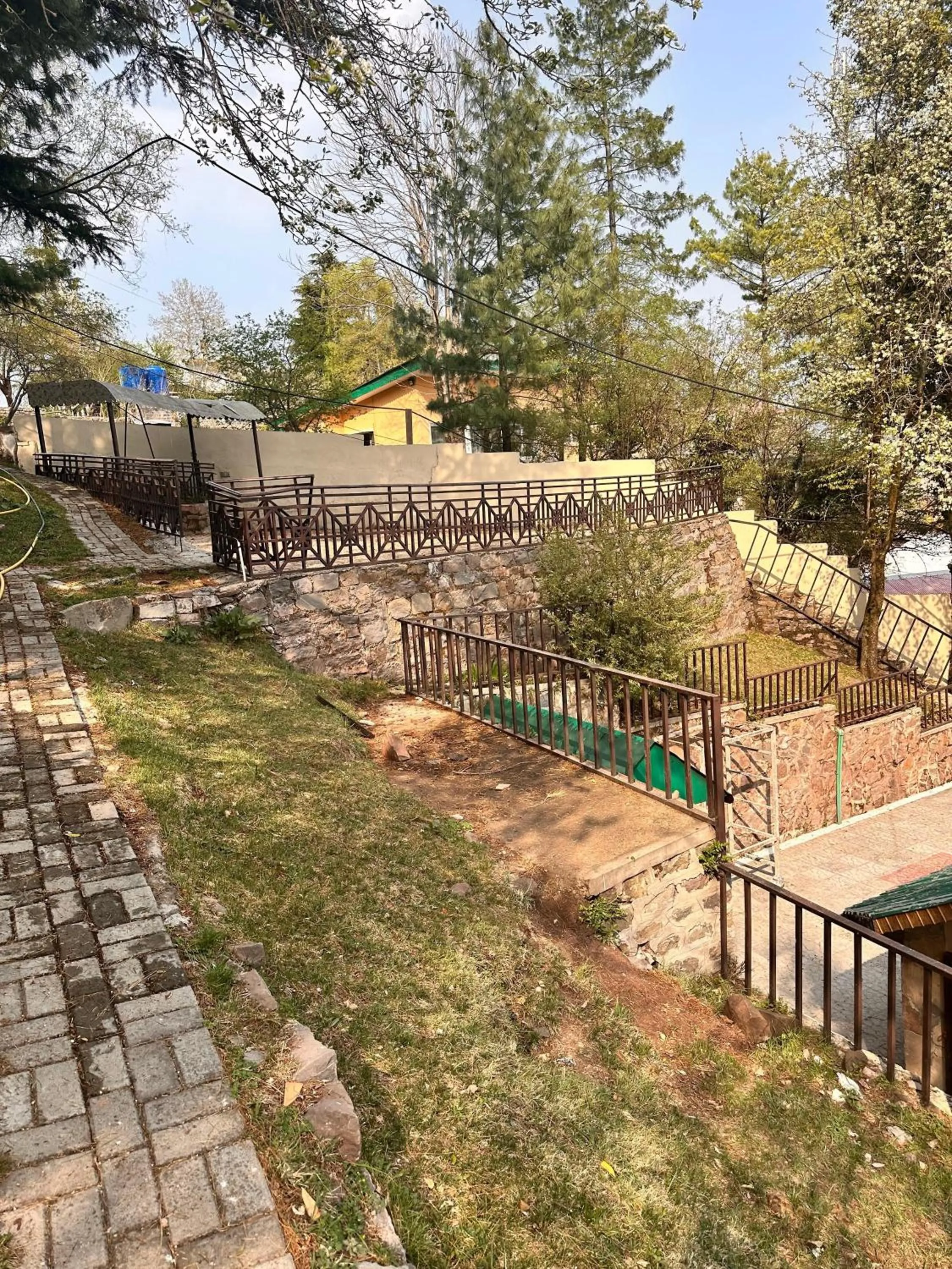 Garden in Pasha Nova