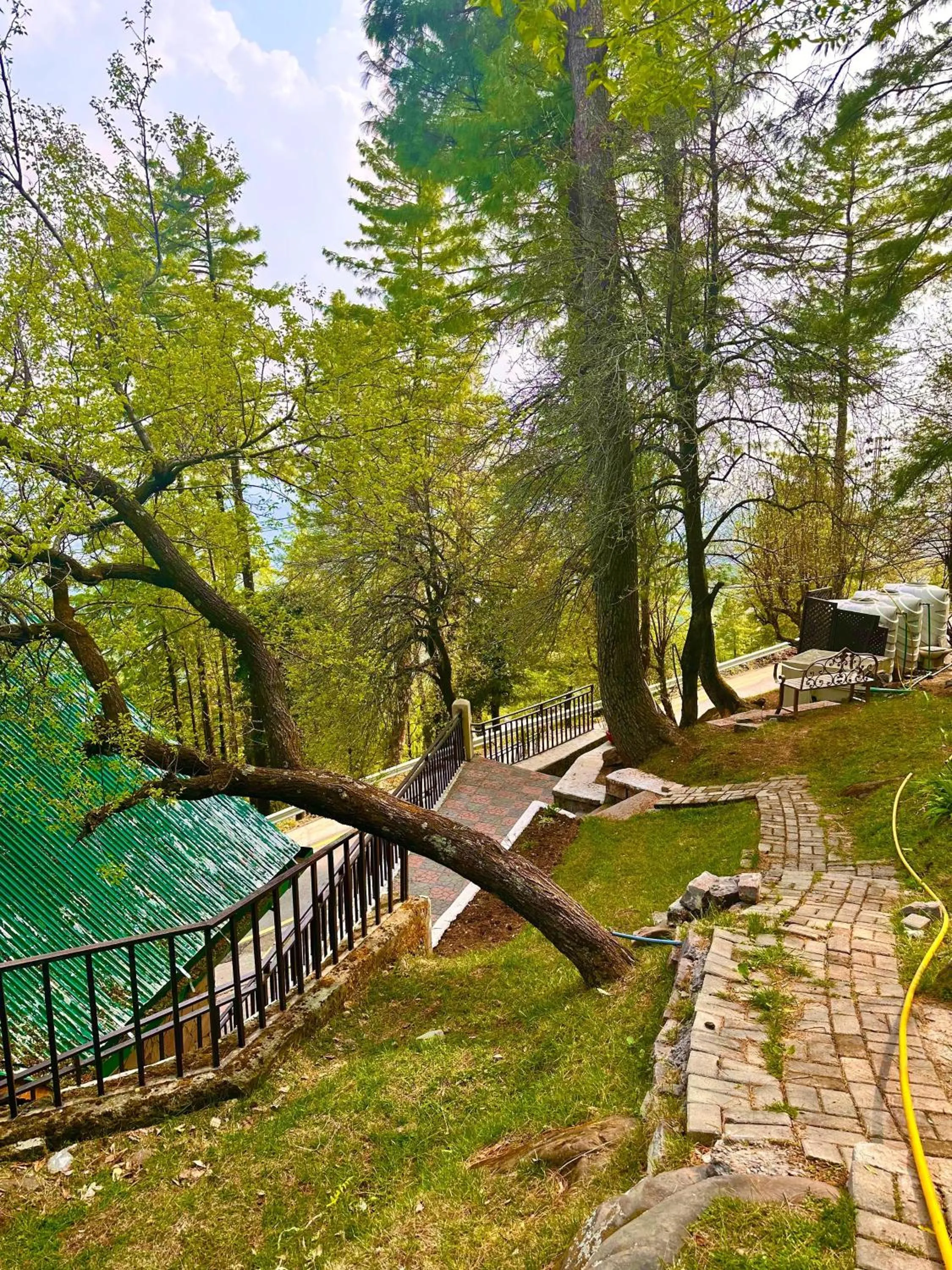 Garden in Pasha Nova