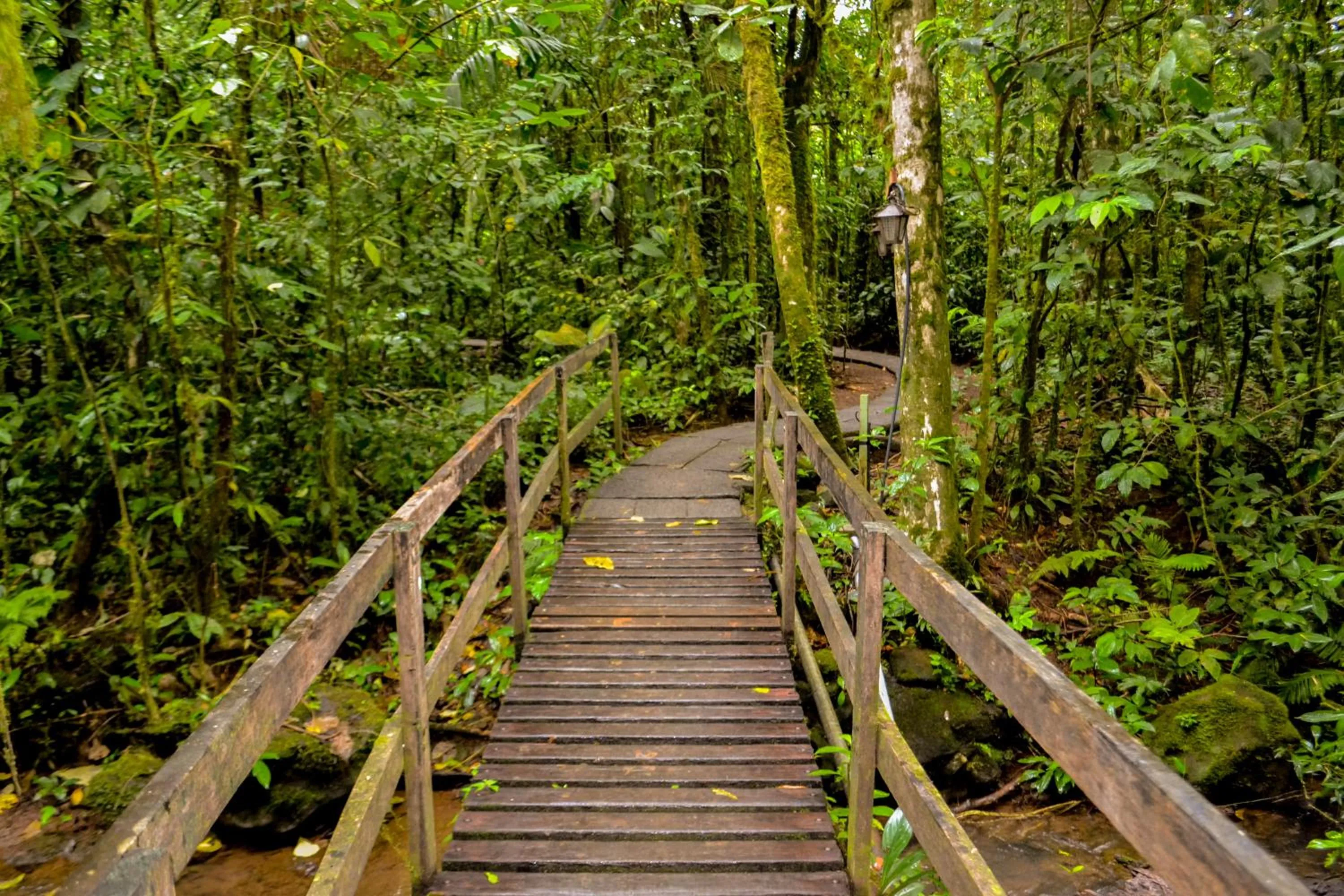 Activities in Termales del Bosque & Hot Springs