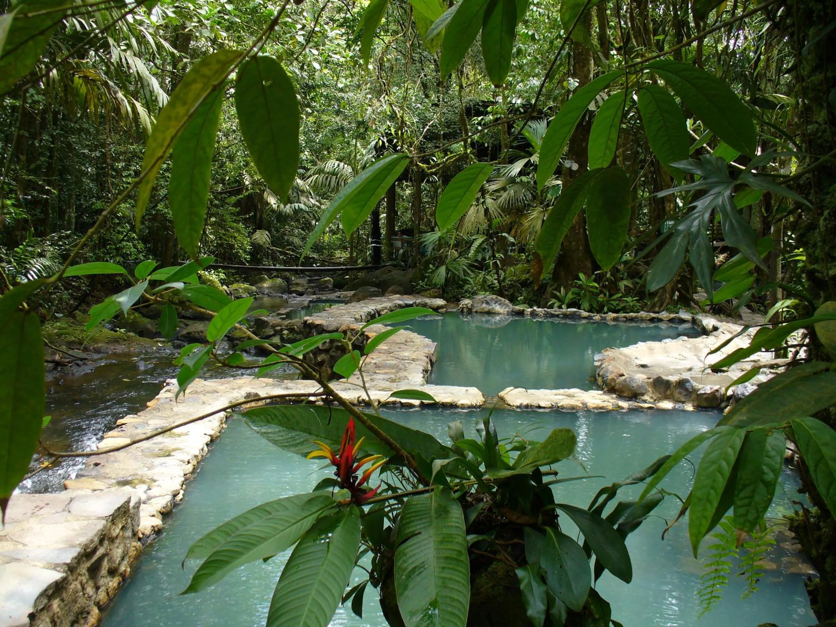 Natural landscape in Termales del Bosque & Hot Springs