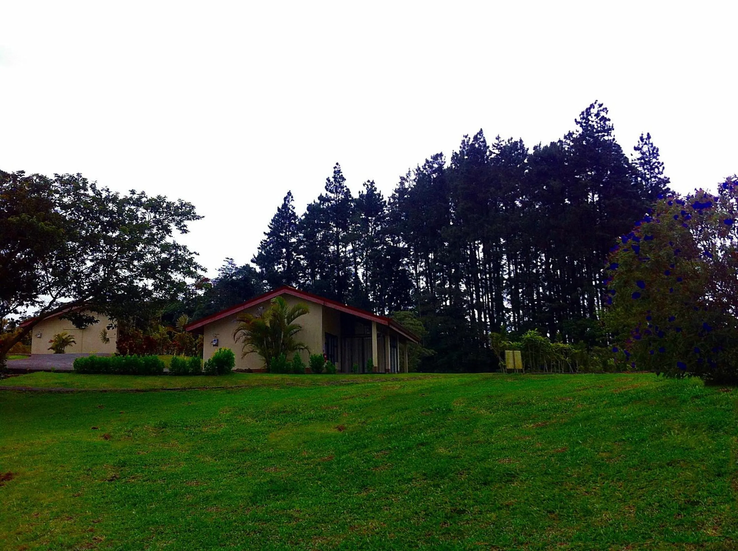 Area and facilities in Termales del Bosque & Hot Springs