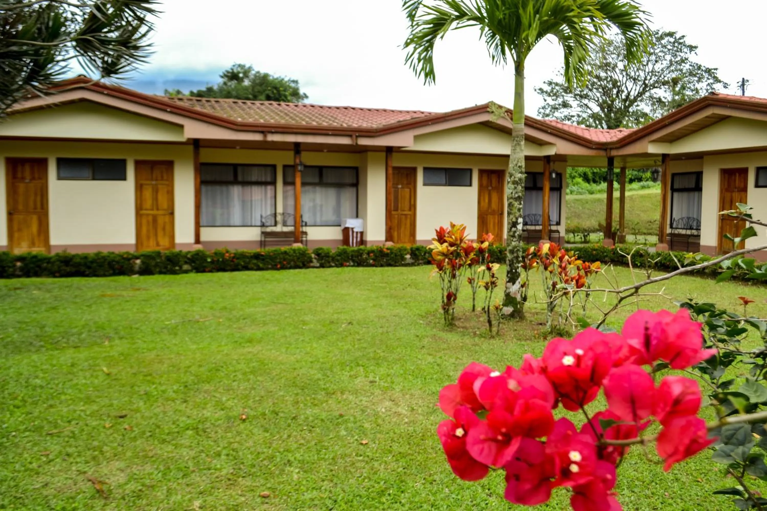 Area and facilities in Termales del Bosque & Hot Springs