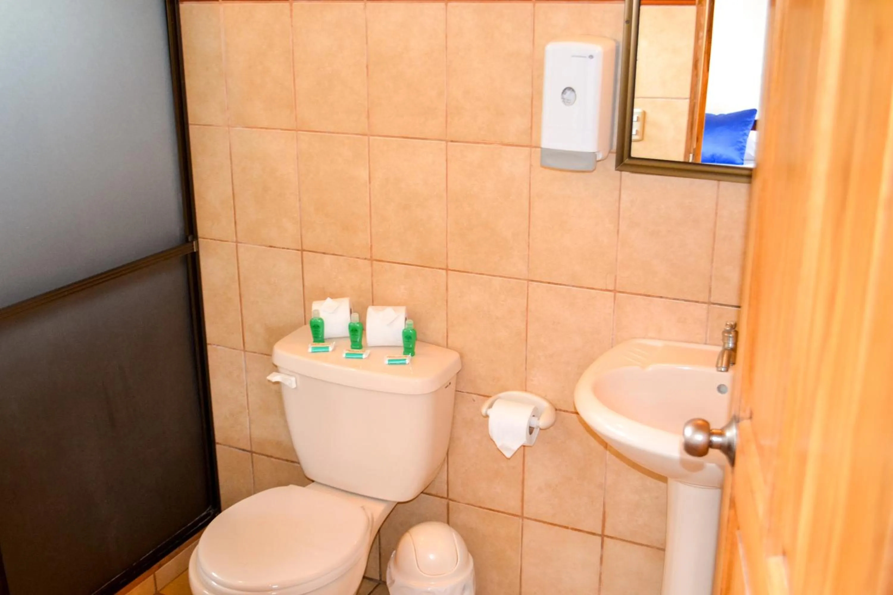 Toilet in Termales del Bosque & Hot Springs