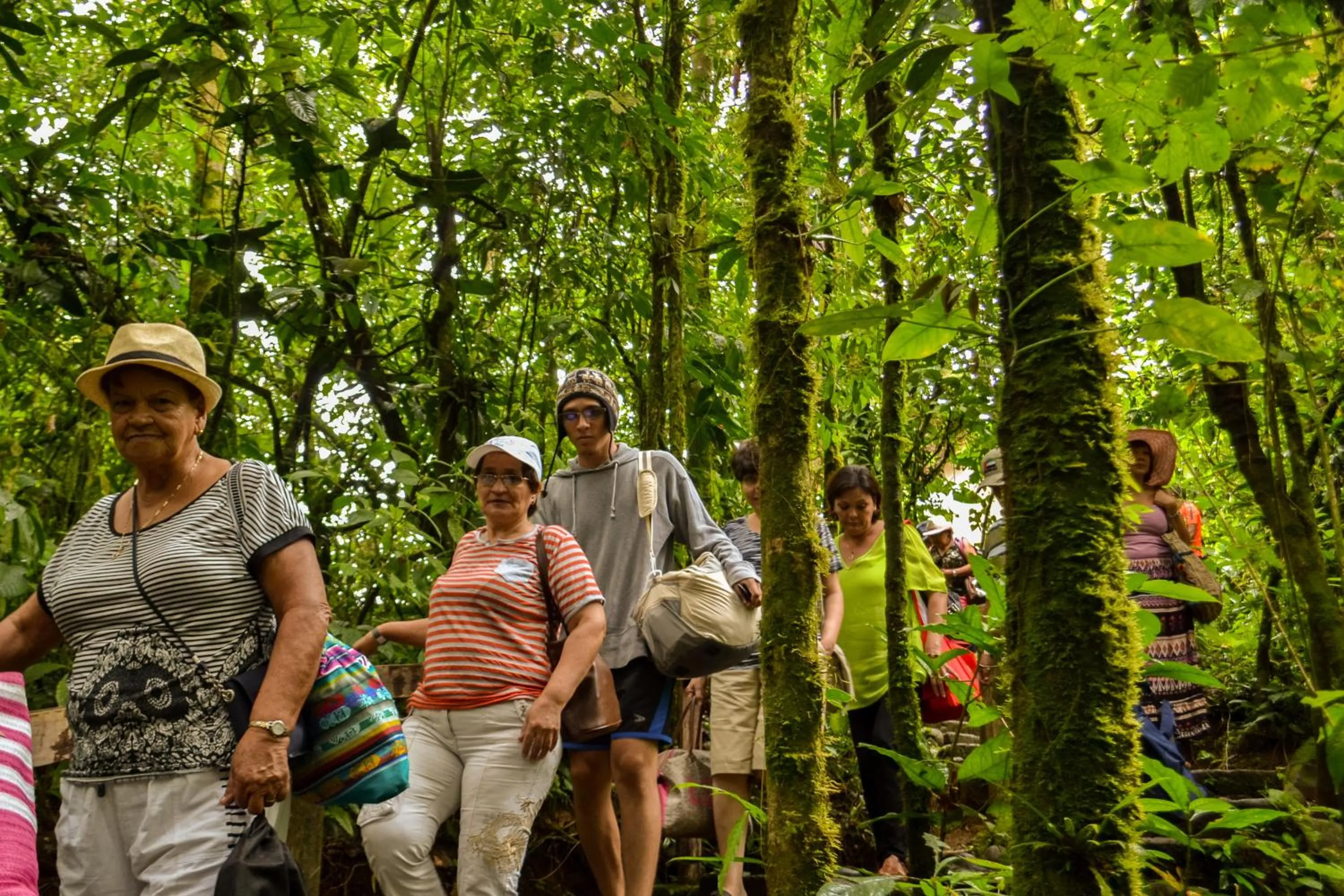 Activities in Termales del Bosque & Hot Springs