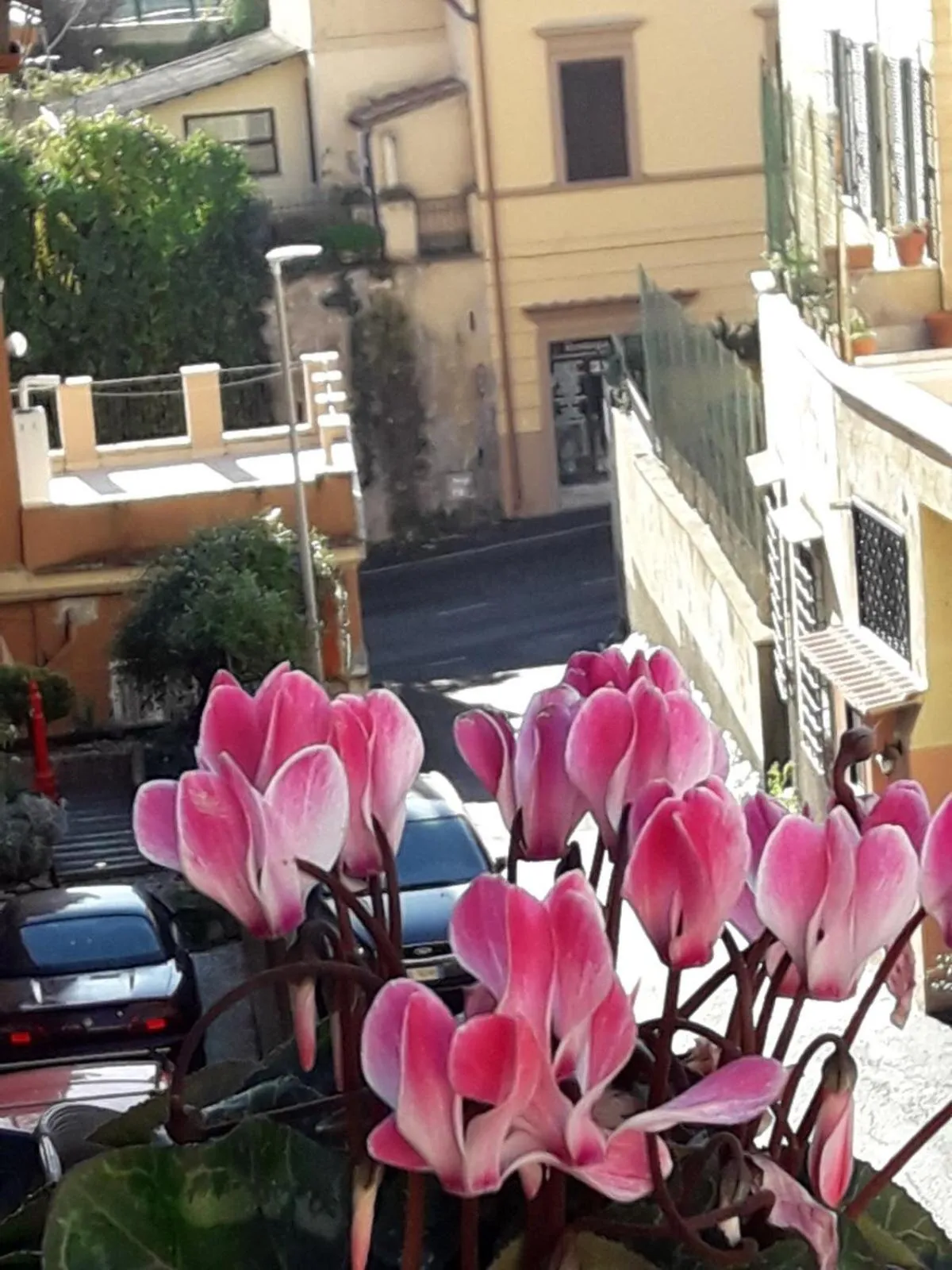 Balcony/Terrace in San Pietro Leisure and Luxury
