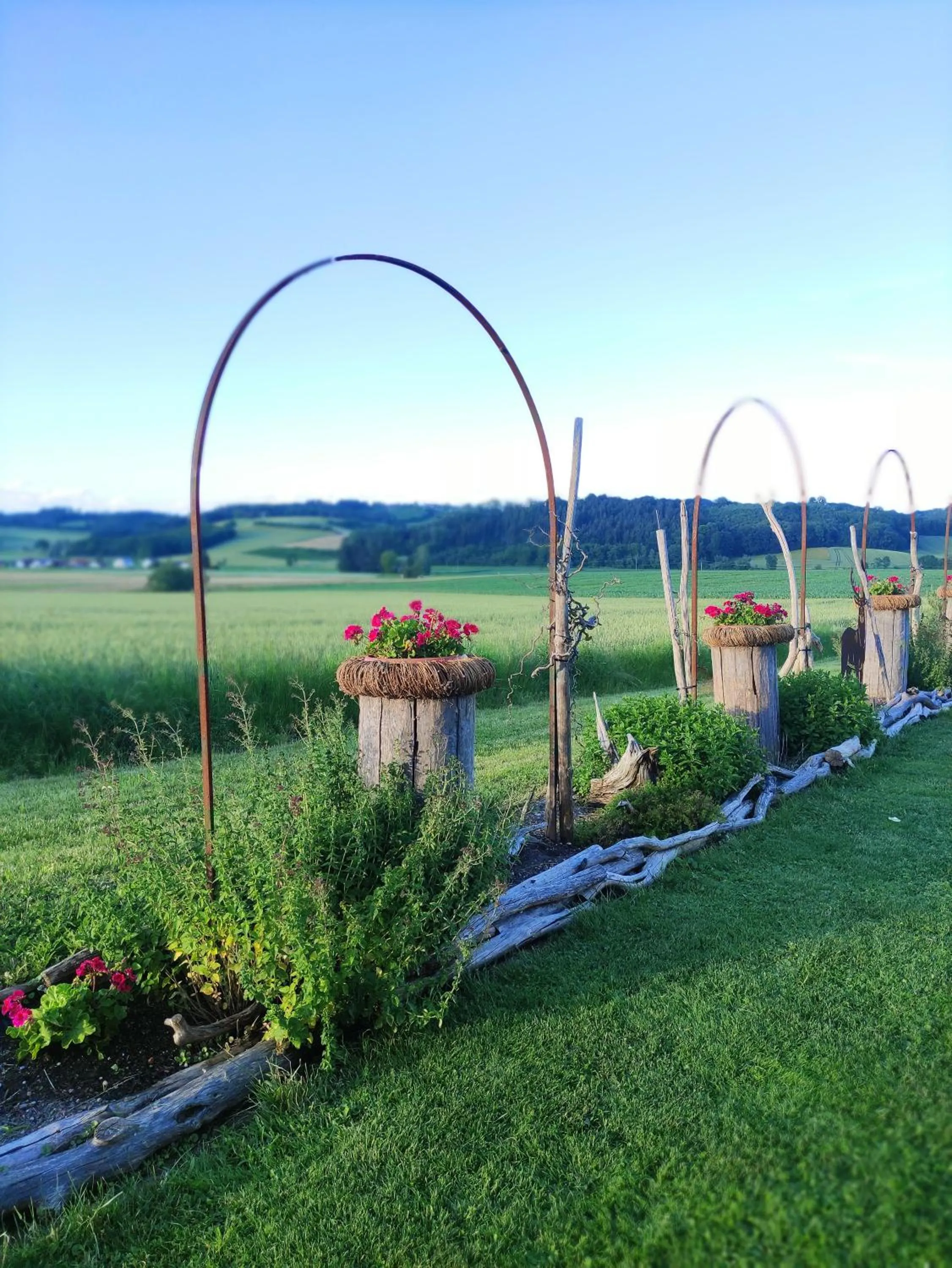 Garden view in Haus Lindenfeld