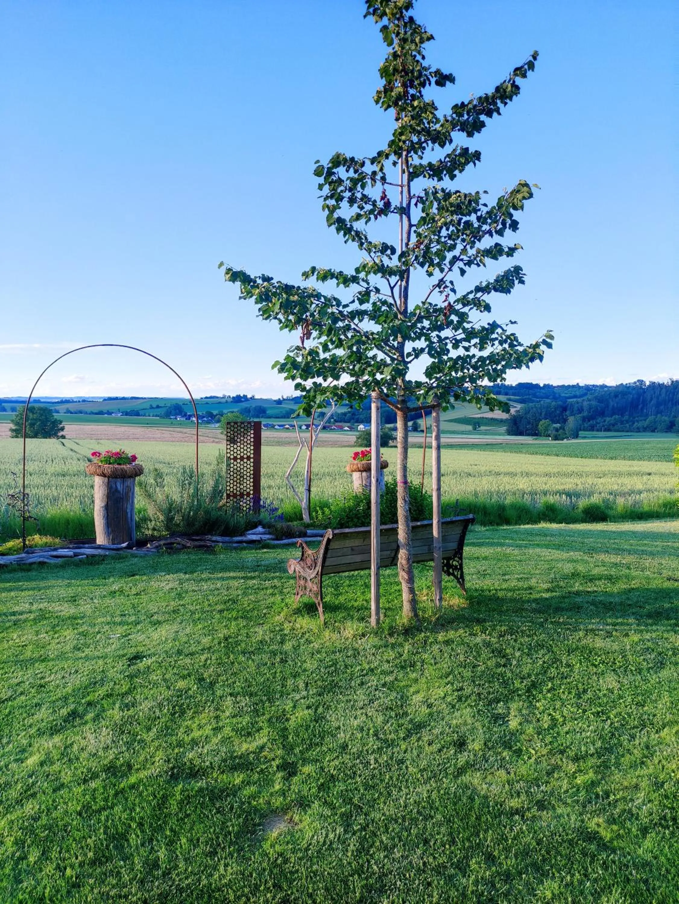 Garden view in Haus Lindenfeld