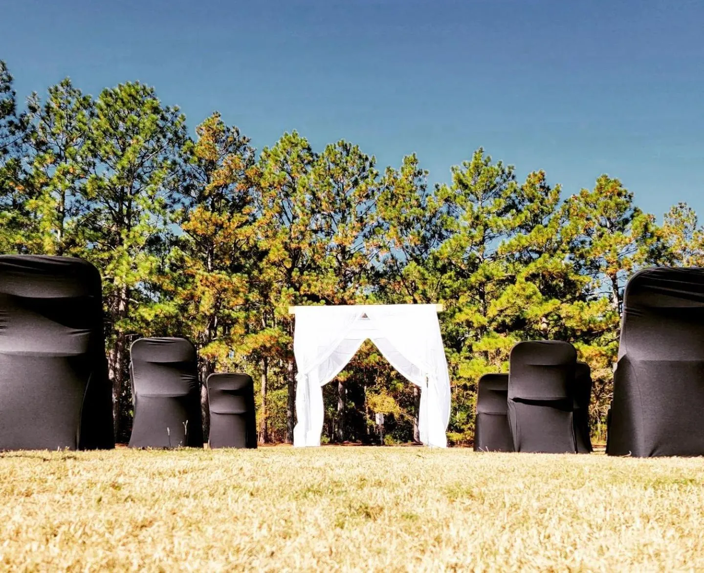 wedding in Carolina Pine Inn near Southern Pines-Pinehurst