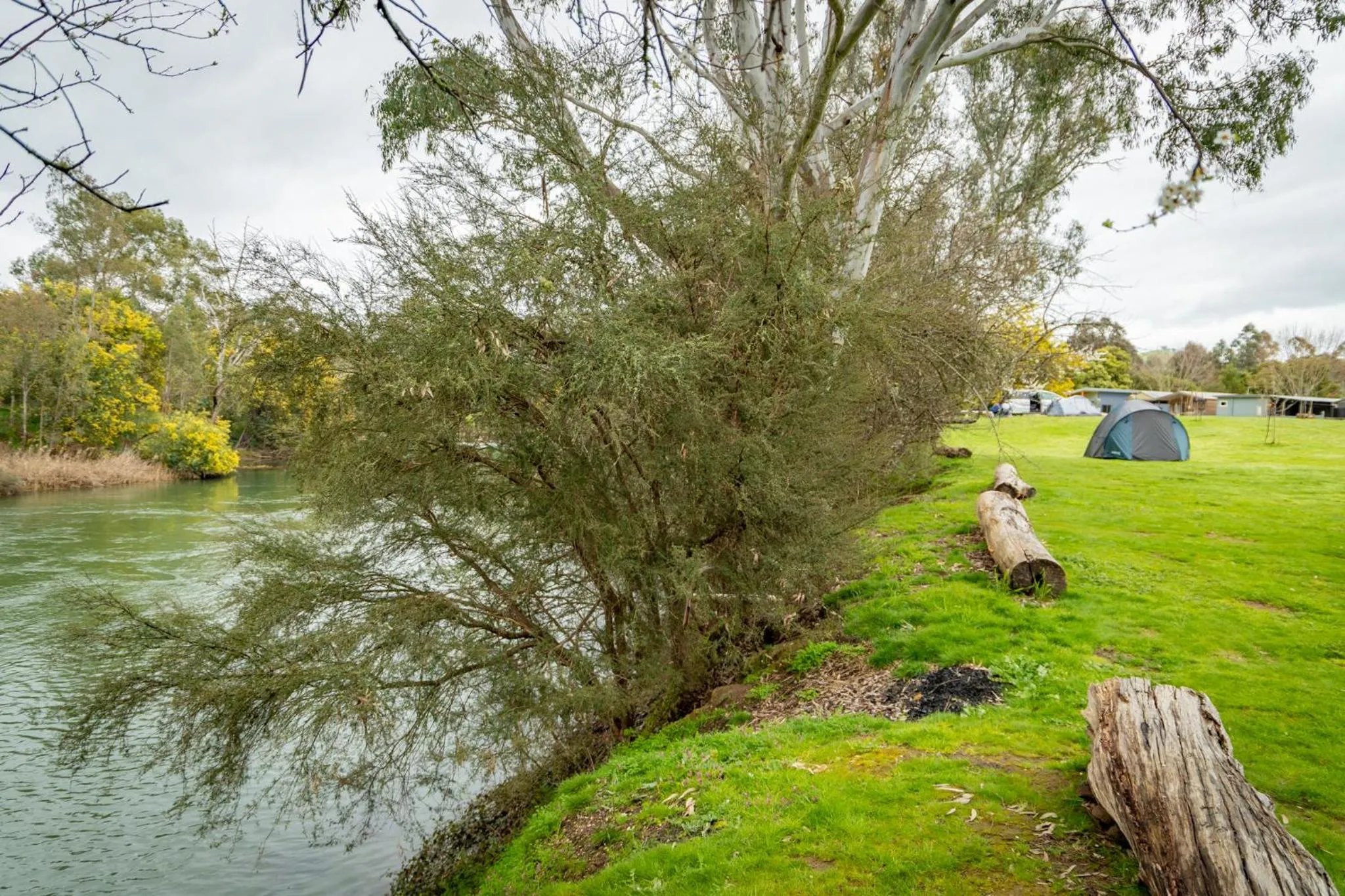 River view in BIG4 Breeze Holiday Parks - Eildon