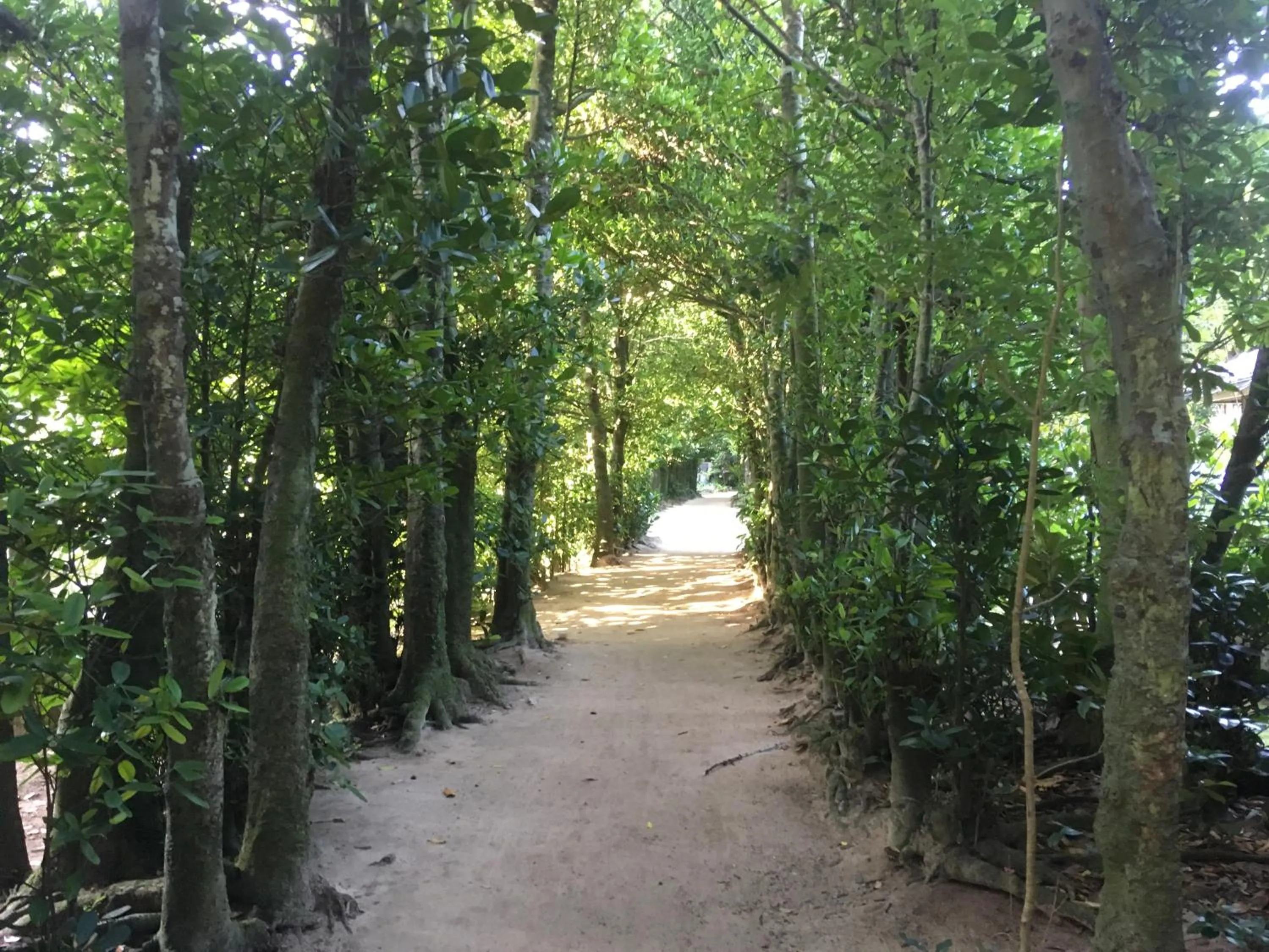 Other in Sunset Hill Bise