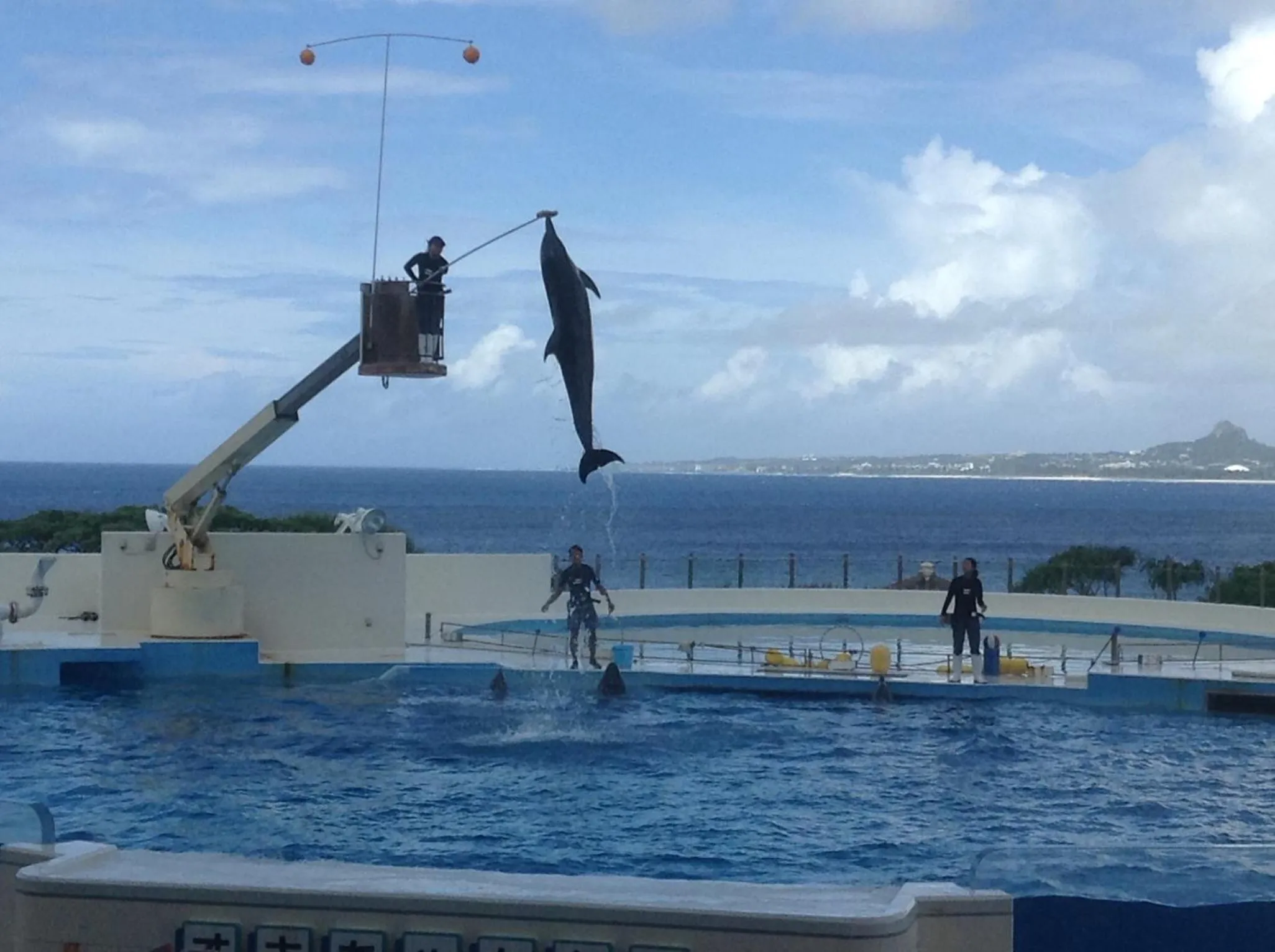 Other in Sunset Hill Bise