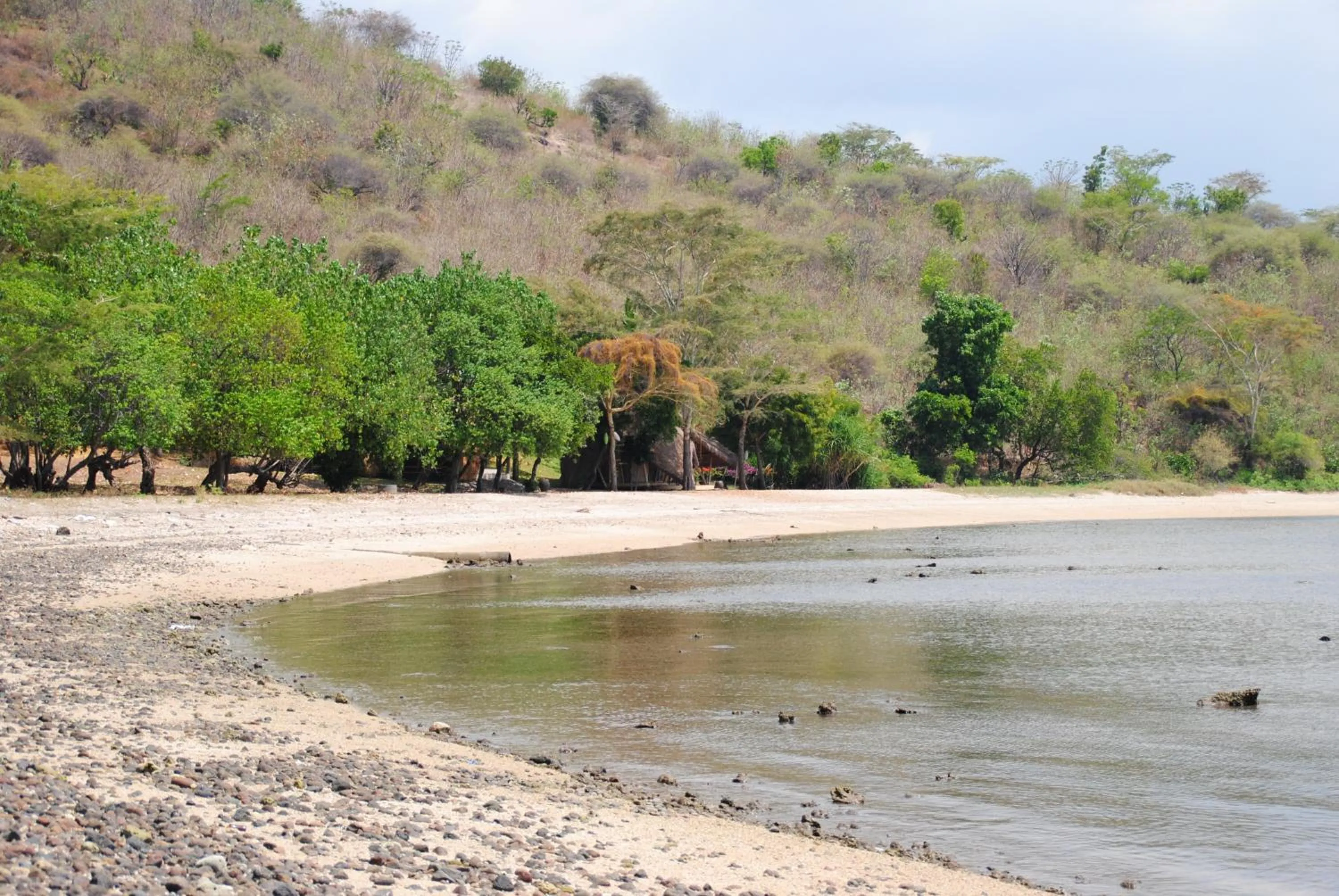 Neighbourhood in Tiara Homestay Pemuteran Bali