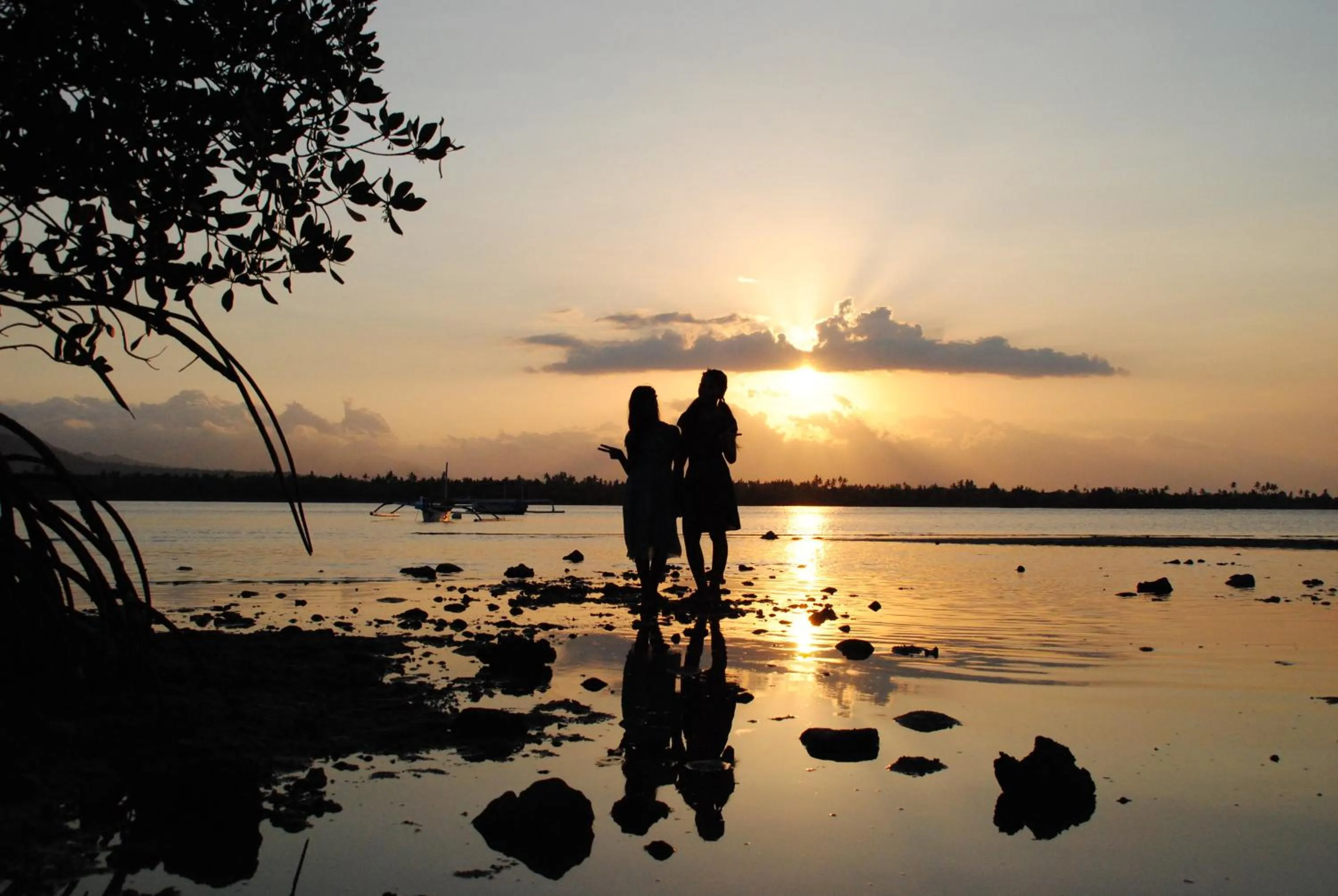 Neighbourhood in Tiara Homestay Pemuteran Bali