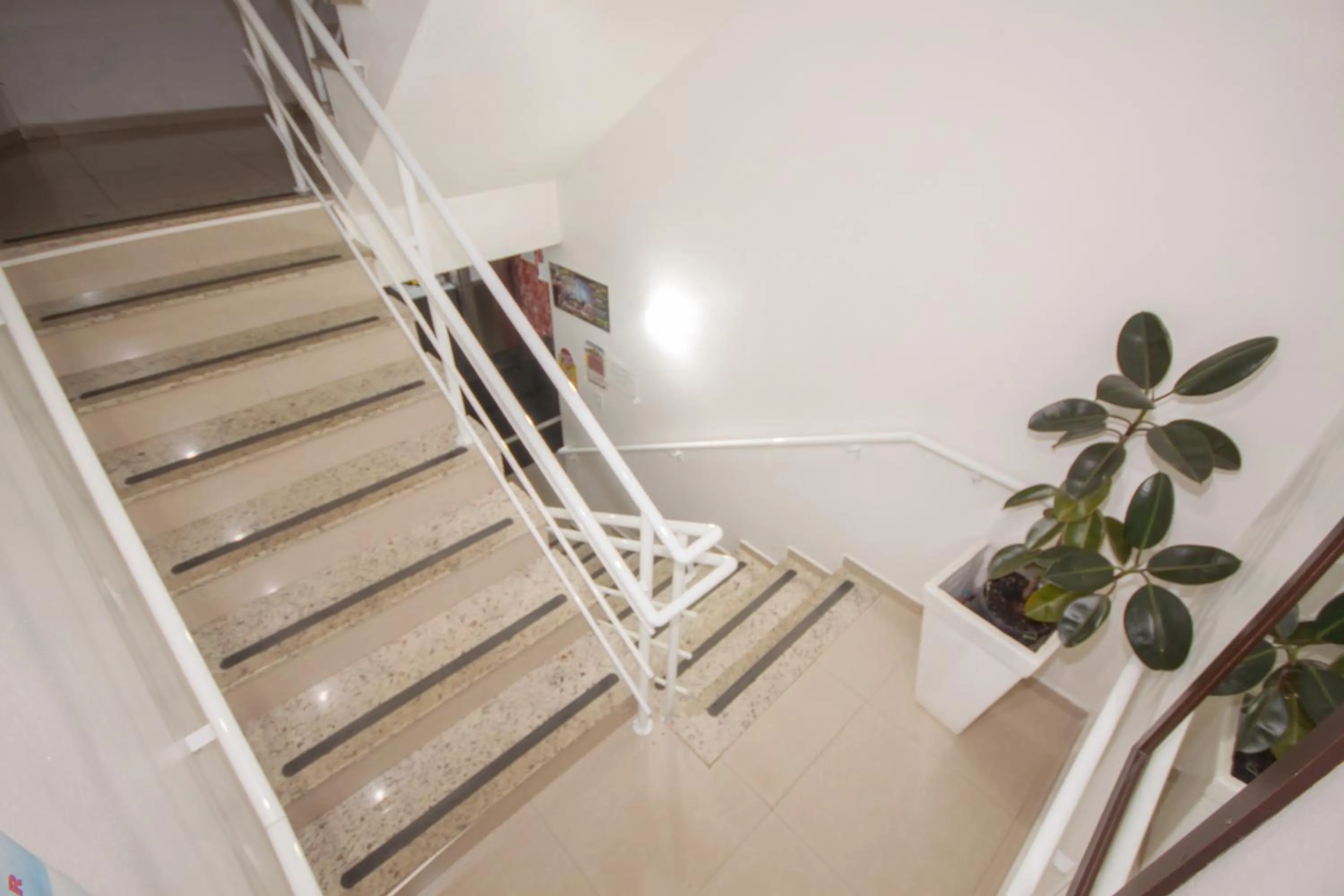 Area and facilities in Hotel Penha