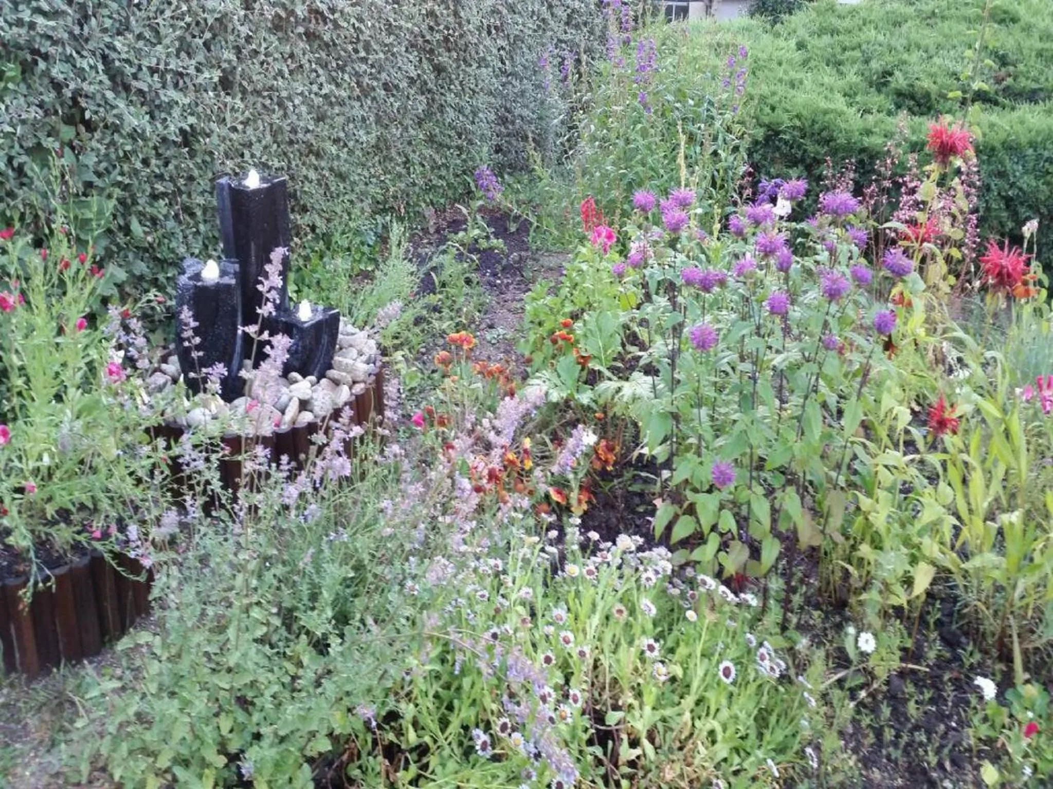 Garden in Chambres D'hôtes du Plessis