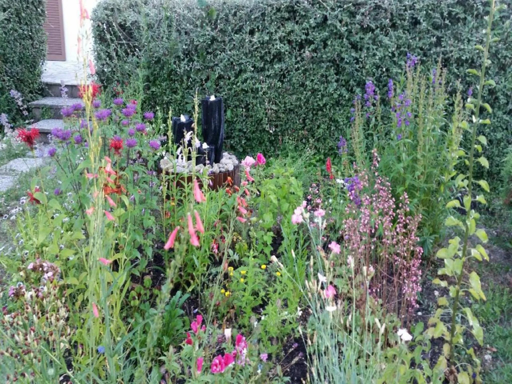 Garden in Chambres D'hôtes du Plessis
