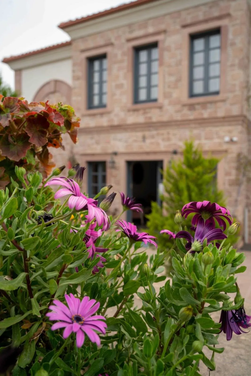 Property building in Cunda Fora Hotel