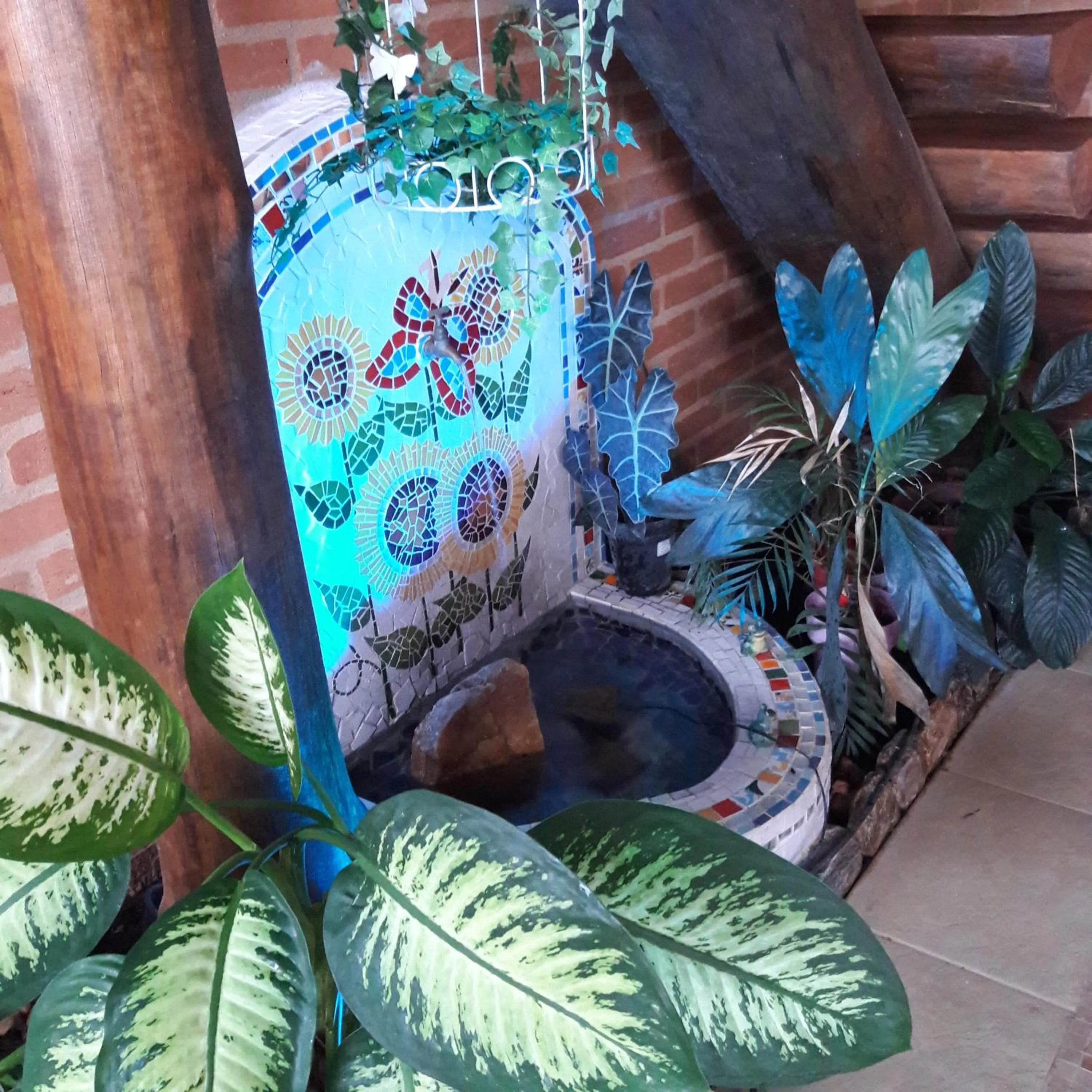 Toca - Bairro Serrano