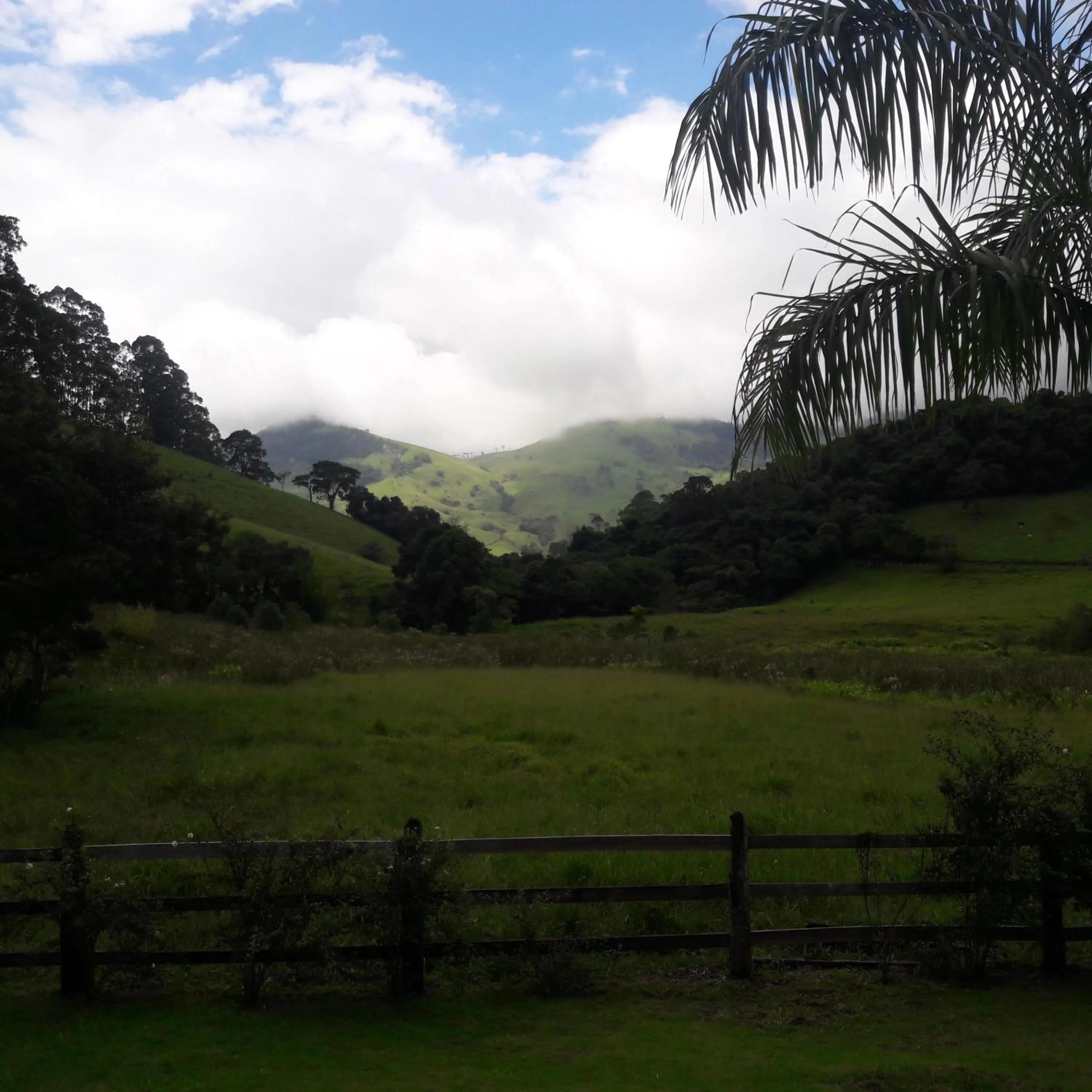 Toca - Bairro Serrano