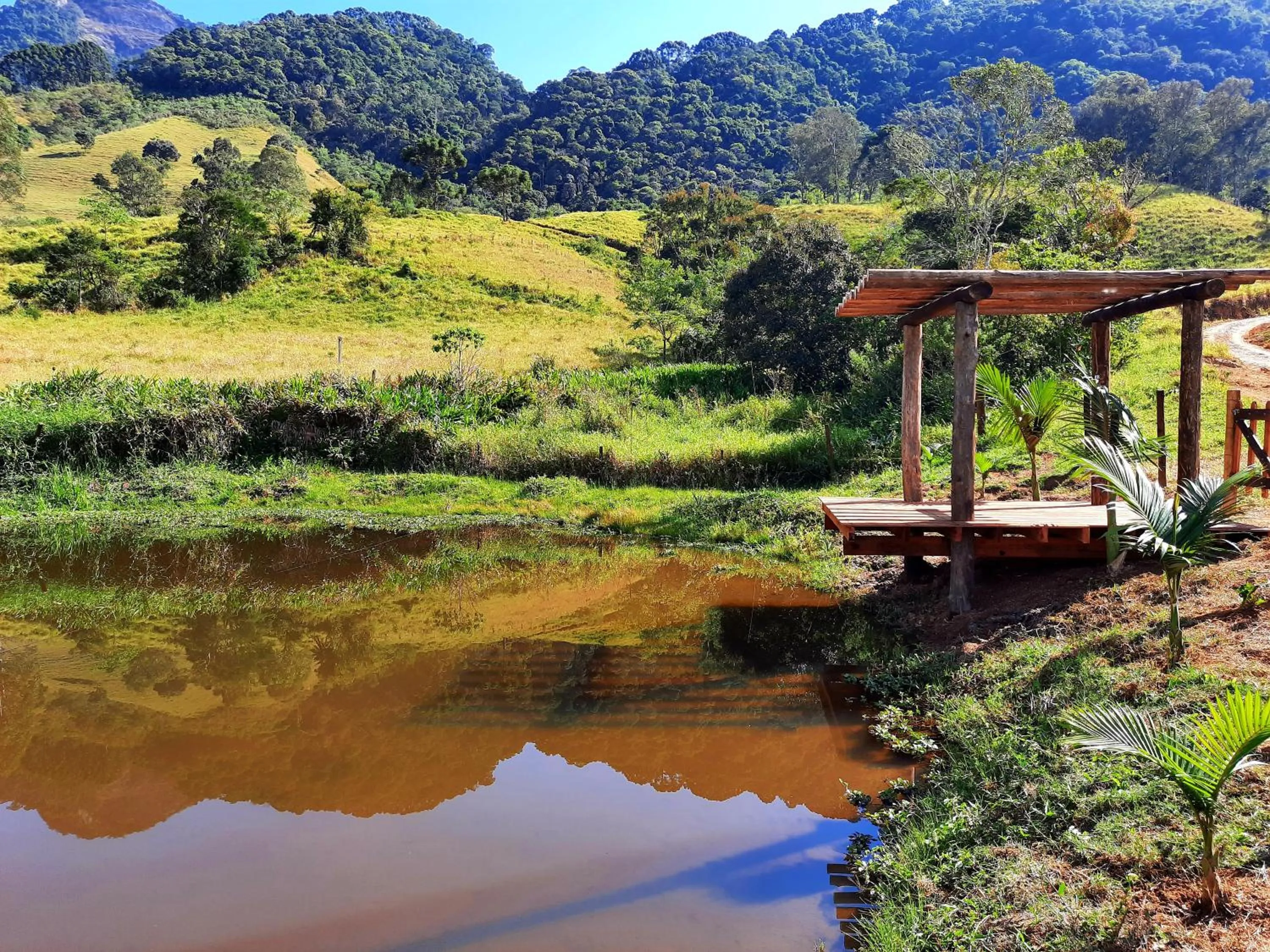 Toca - Bairro Serrano