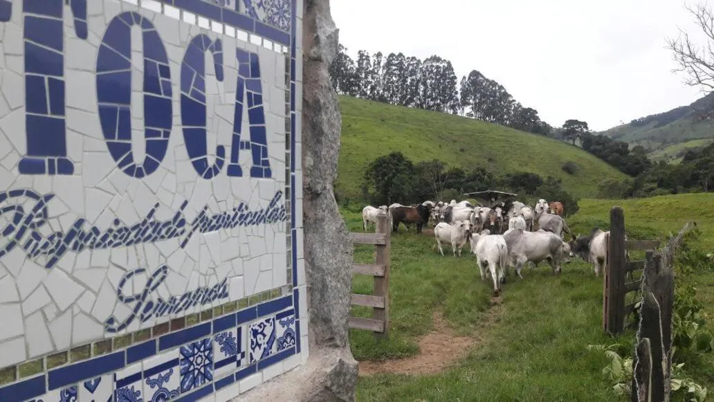 Toca - Bairro Serrano