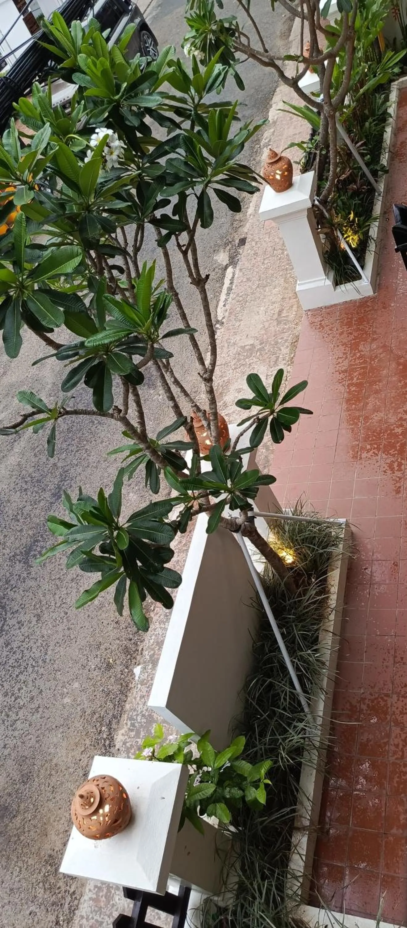 Garden view in Sengphachanh Heritage Boutique