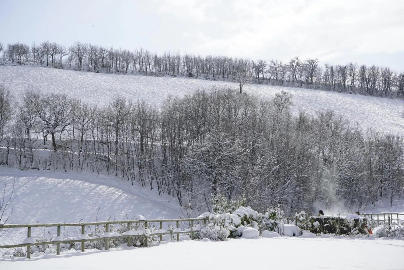Agriturismo Colle Casini Cortesi