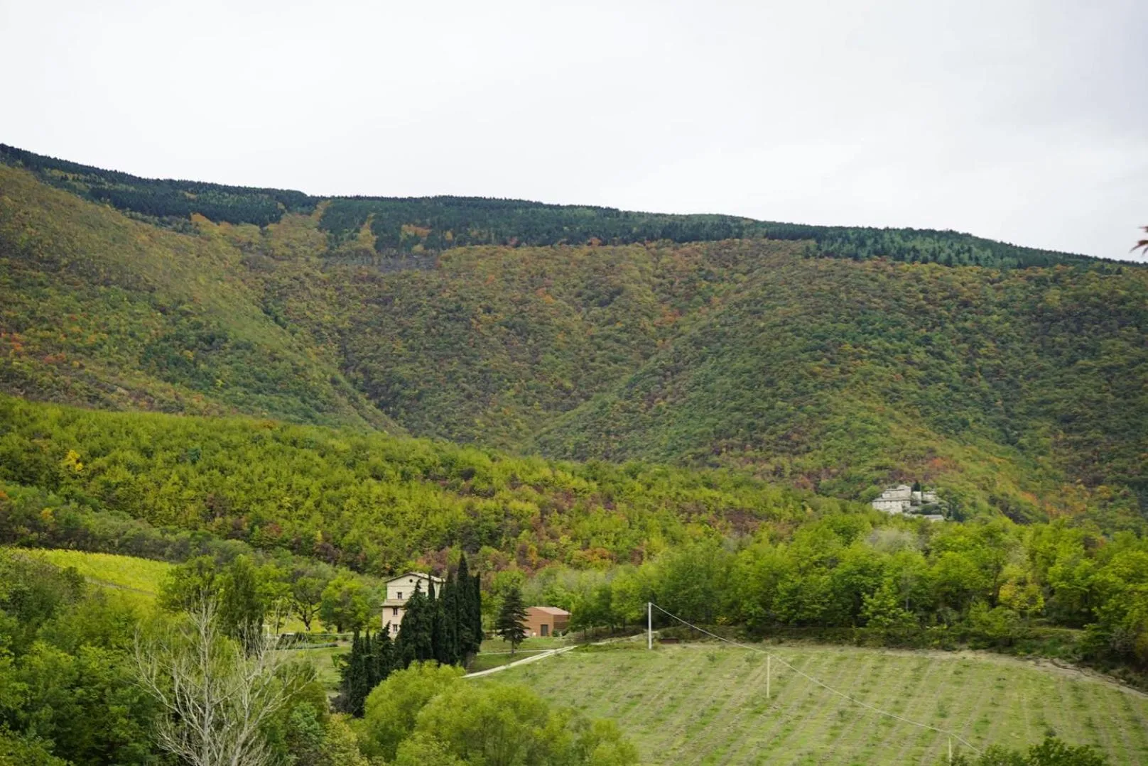 Natural landscape in Agriturismo Colle Casini Cortesi