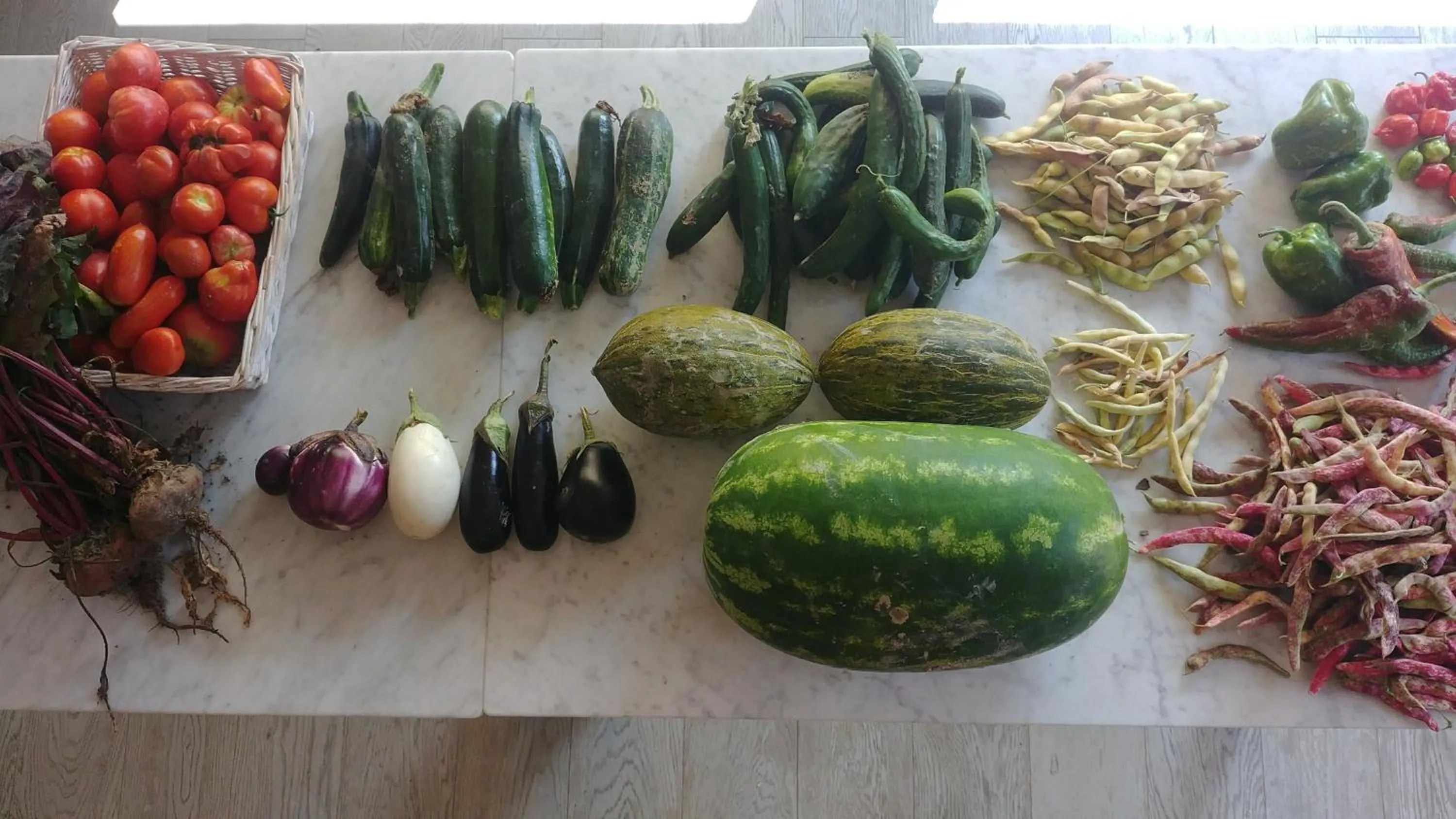 Food and drinks in Agriturismo Colle Casini Cortesi