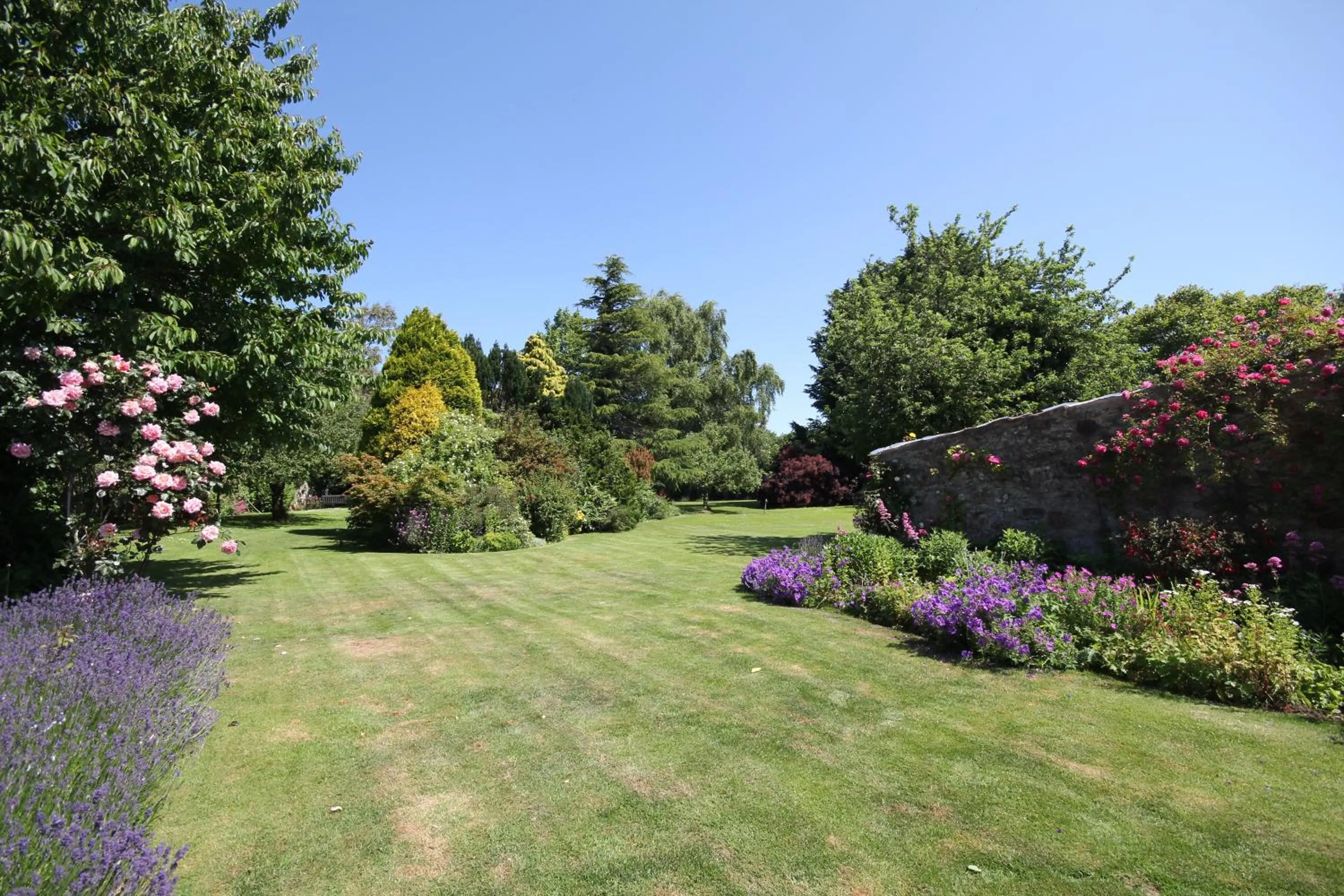 Garden view in The Old House
