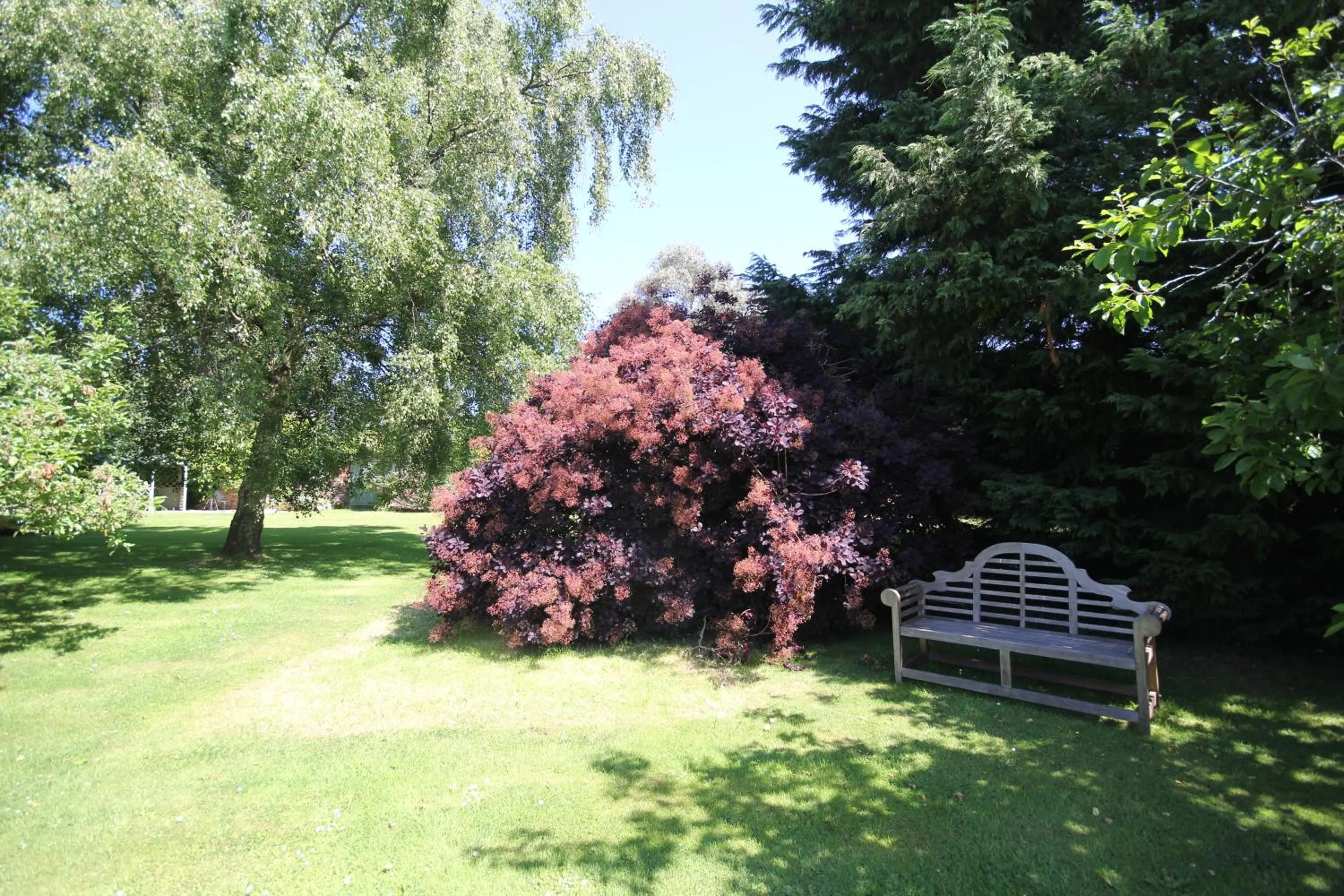 Garden in The Old House