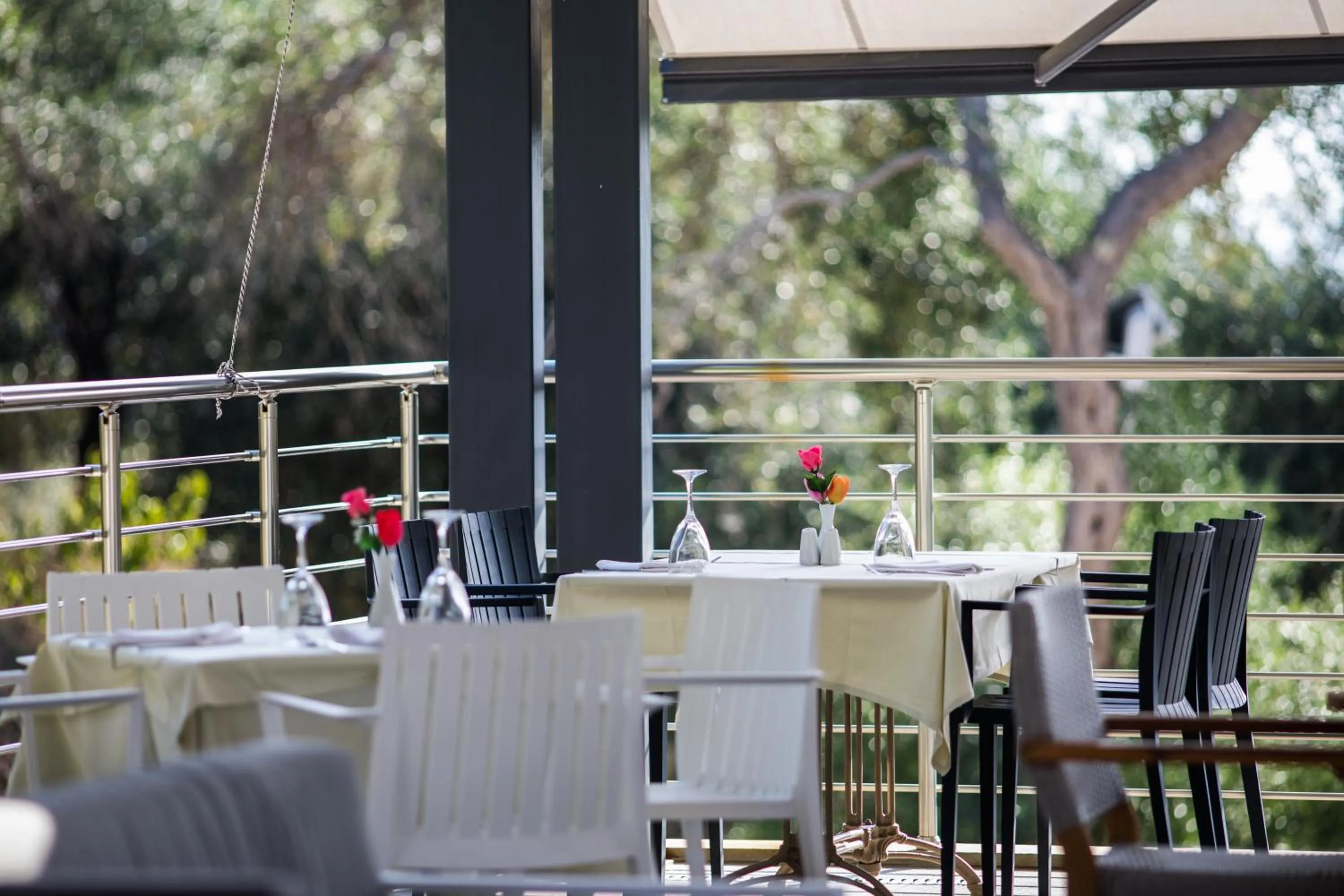 Restaurant/places to eat in Aqua Oliva Resort Syvota