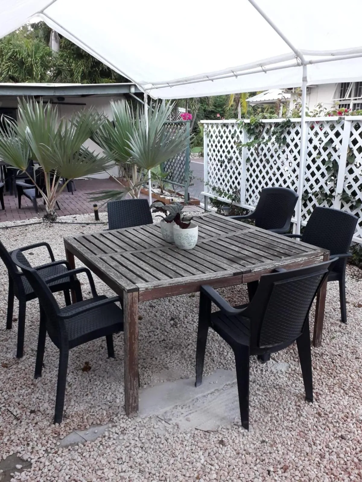 Palm Trees Apartments