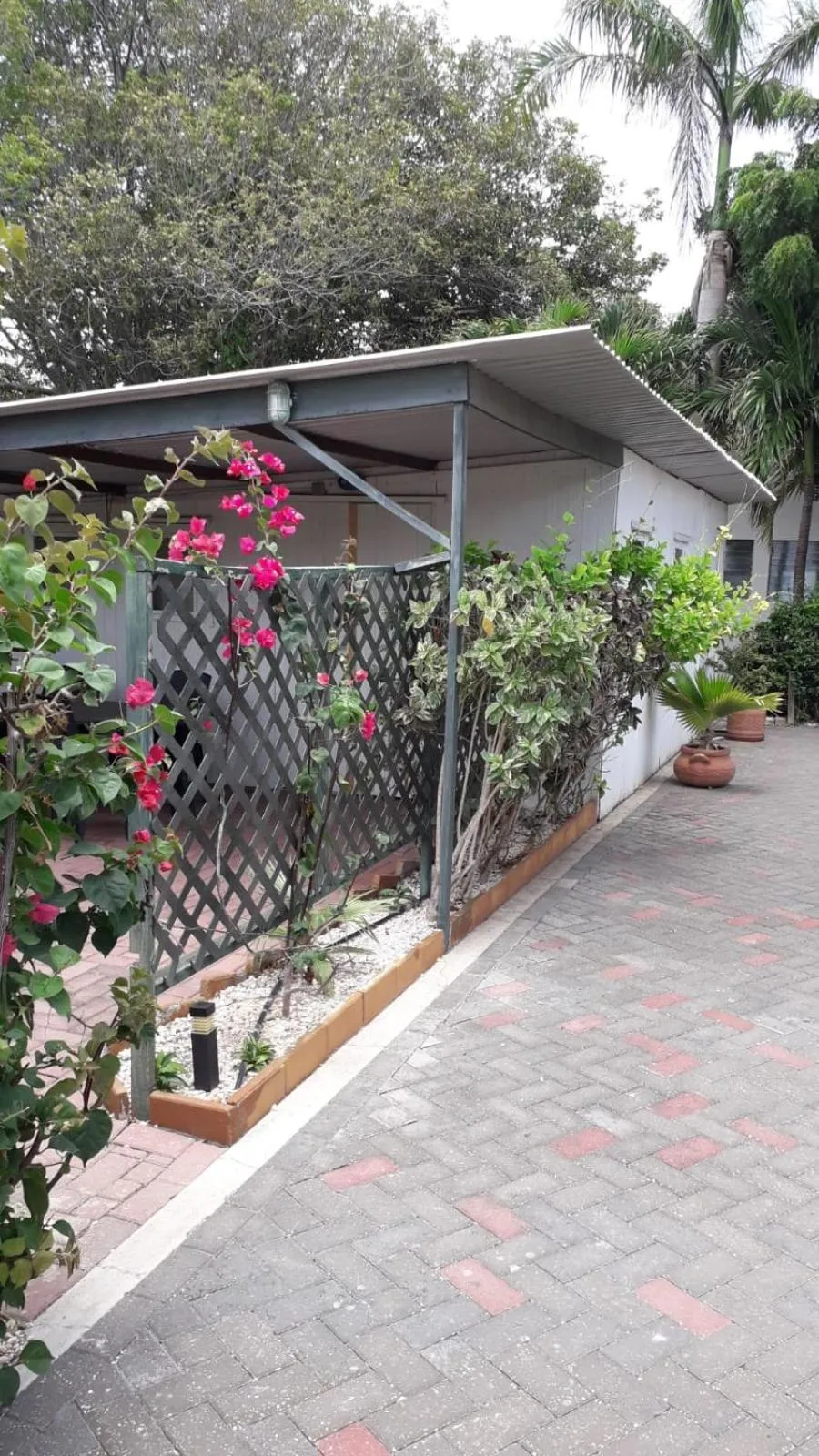 Palm Trees Apartments