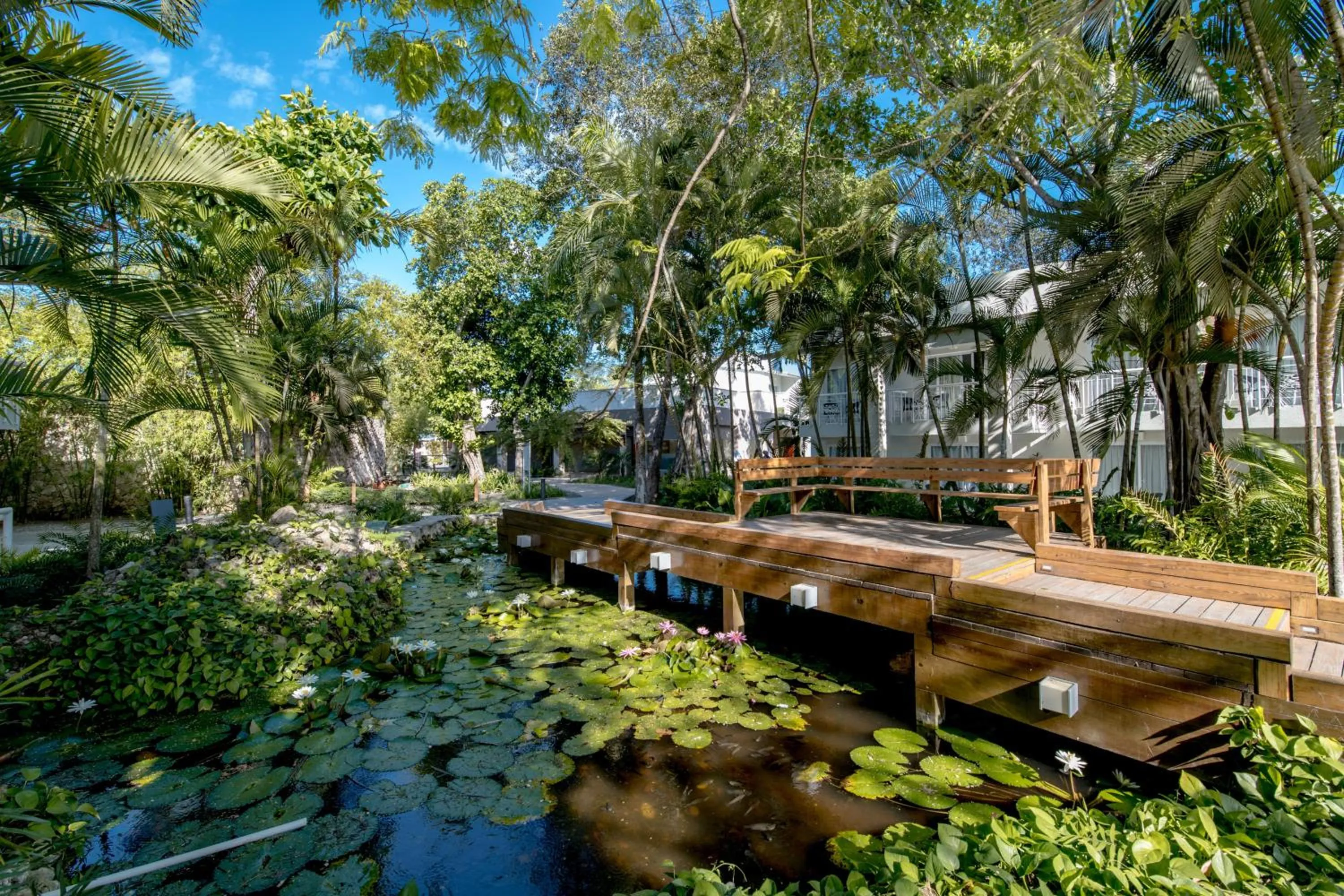 Natural landscape in Emotions by Hodelpa - Juan Dolio